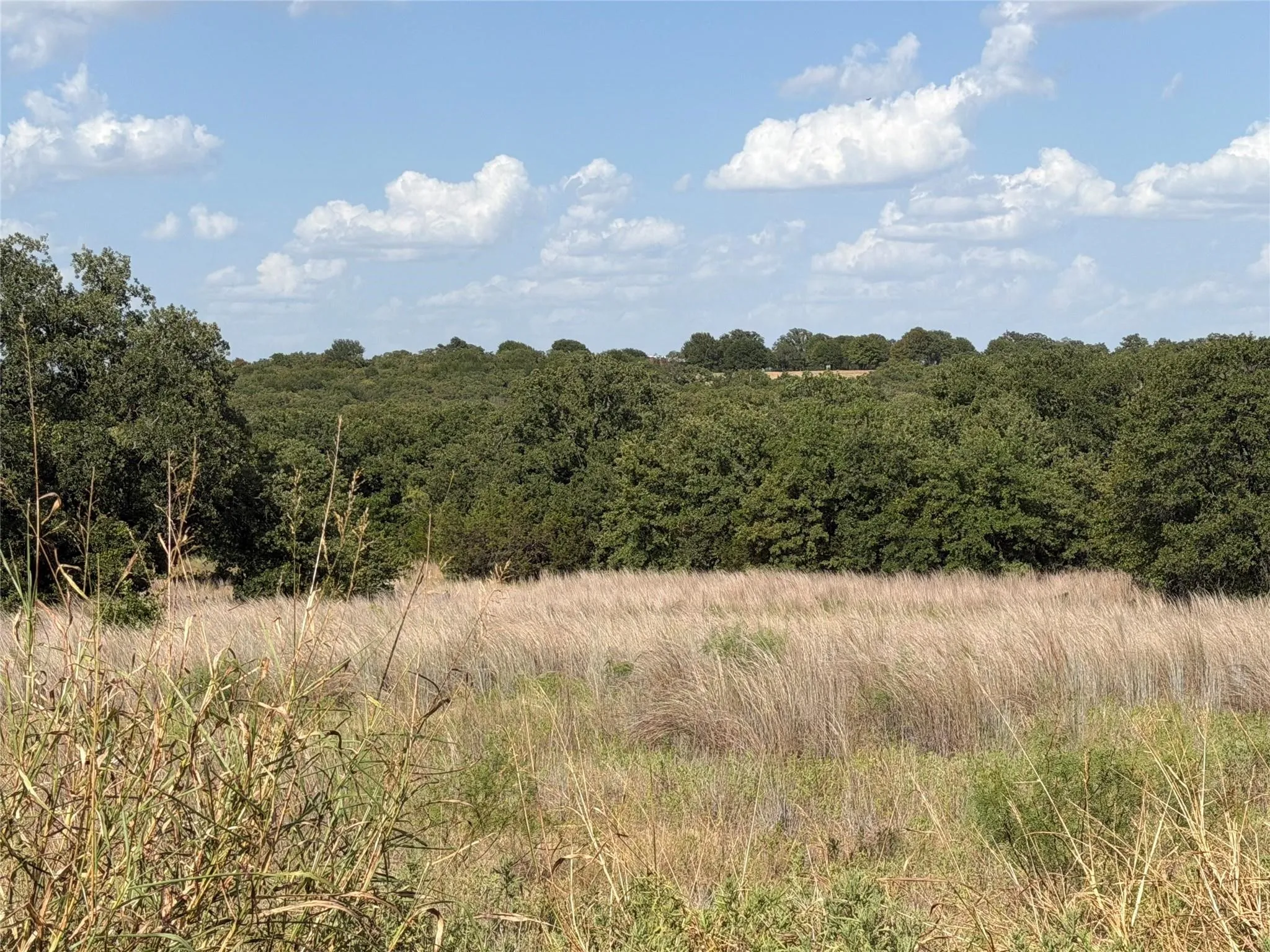 Unimproved Land For Sale in Jack County , Lot 51 TBD Turkey Court, Perrin, Texas 76486, 0, 0, Garage spaces, 0 Sqft, built in 0, mls#21395311, Real Estate Agent in Perrin, Homes For Sale in Jack county, Homes For Sale in Perrin, Realtor in Perrin Texas, Real Estate Brokerage Independent Realty Texas, Luminita Cordes Realtor