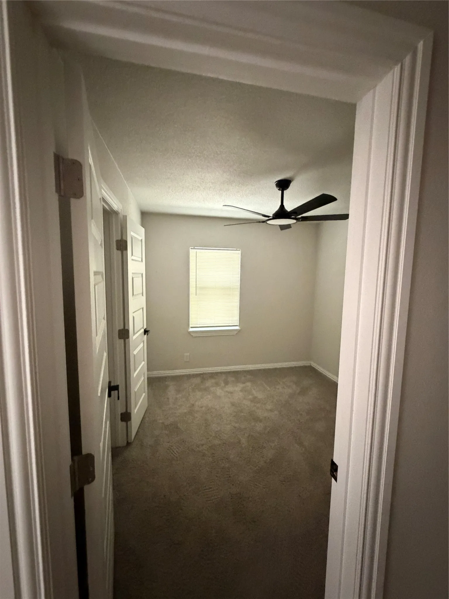 Carpeted room with a ceiling fan, single window, and neutral wall tones