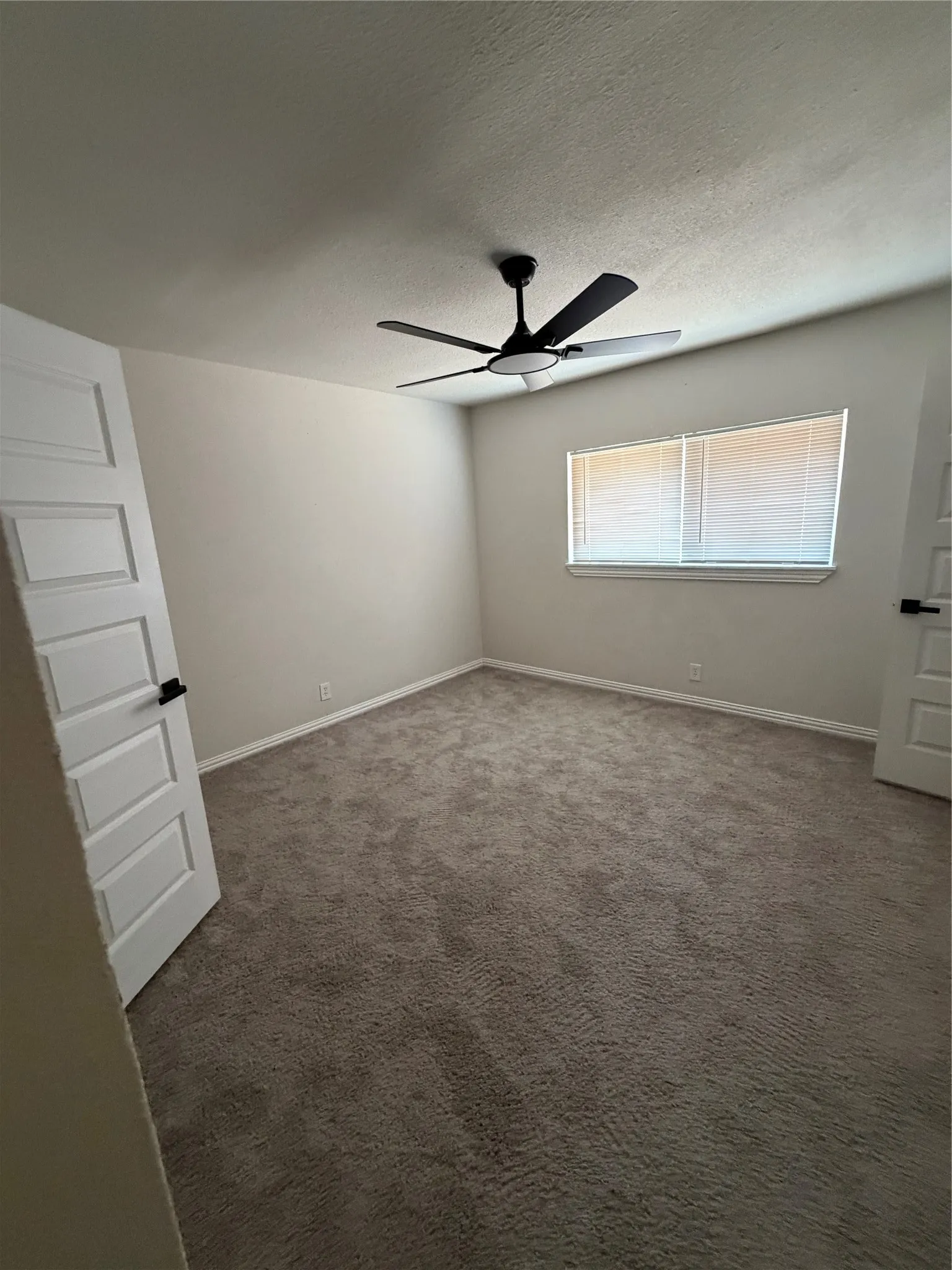 Wall-to-wall carpeting, modern ceiling fan with light, and window with blinds