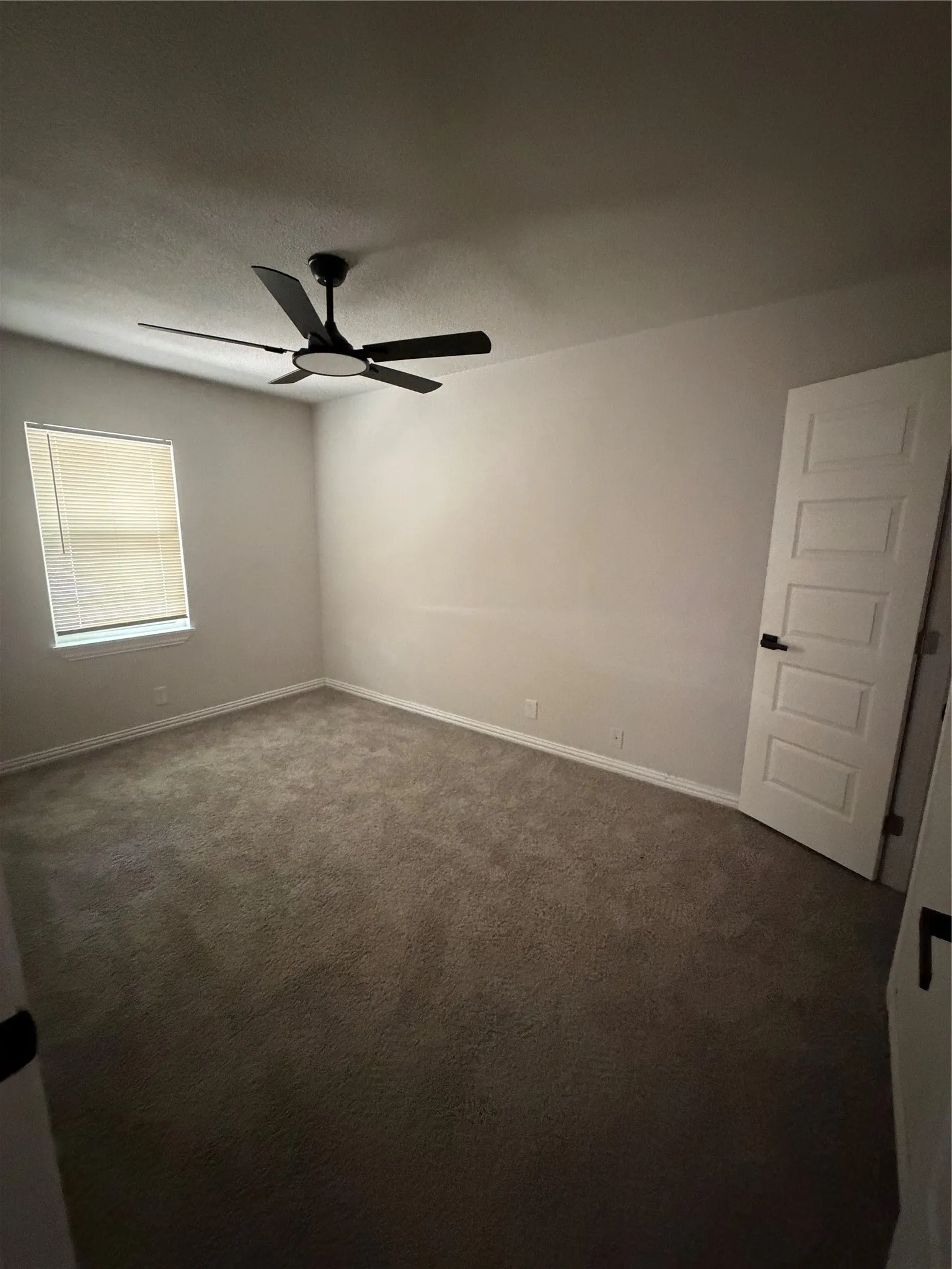 Neutral-toned carpeting and walls