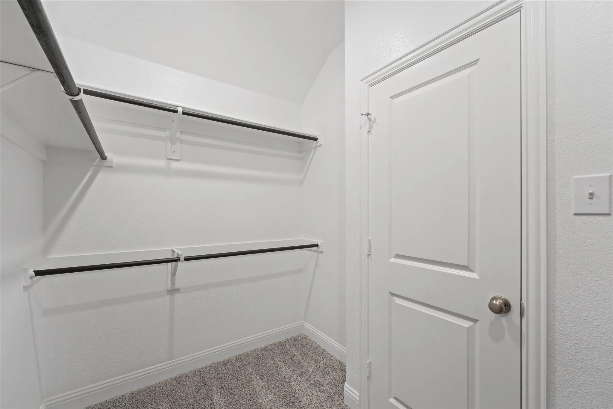 Spacious closet featuring light carpet
