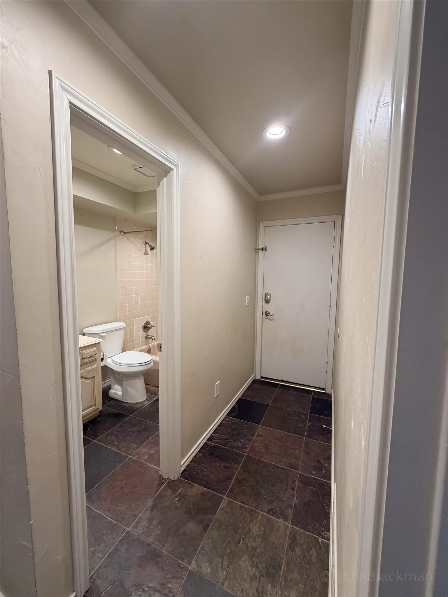 guest bath and garage door