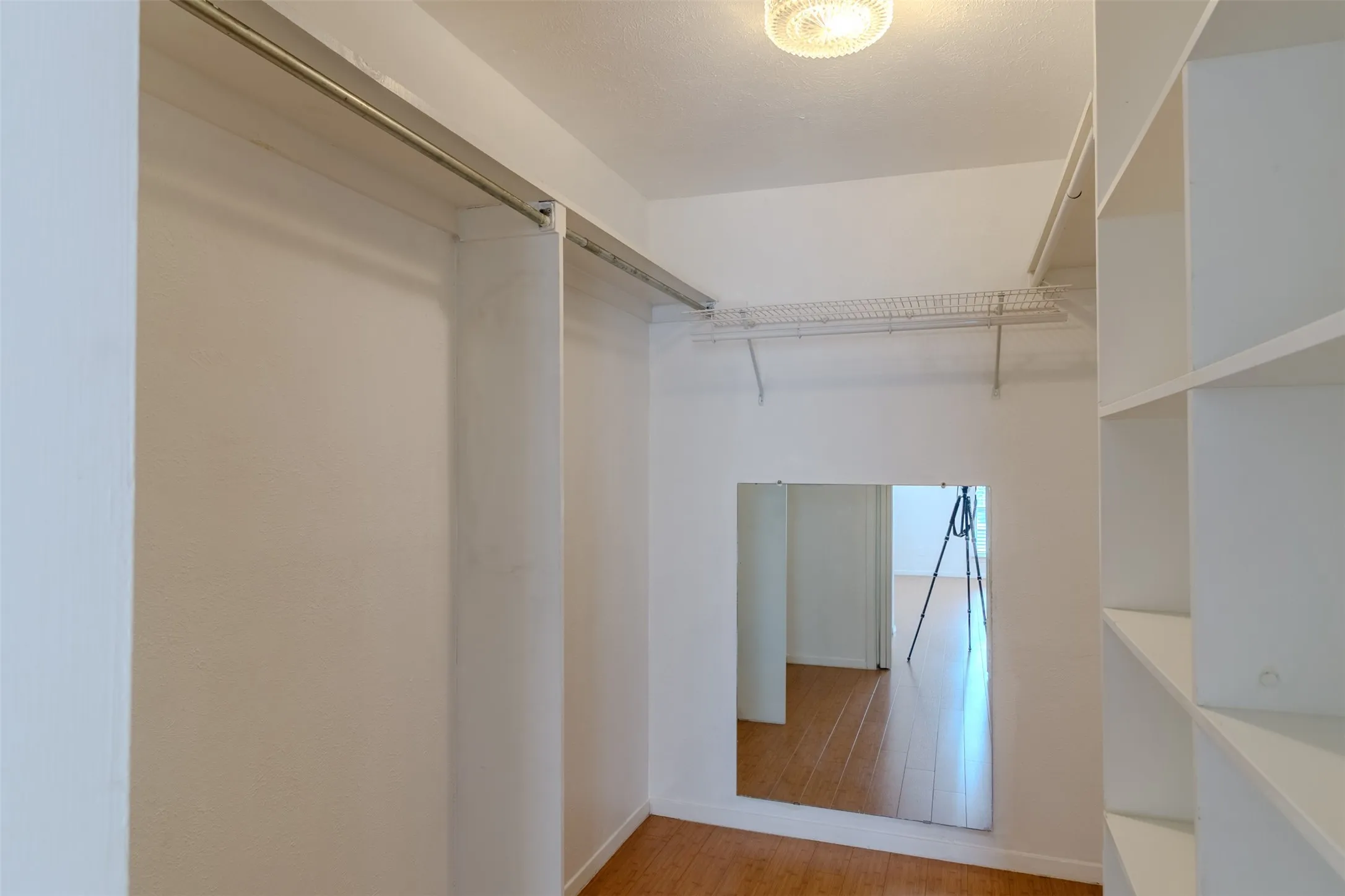 Walk in closet featuring light wood-style flooring