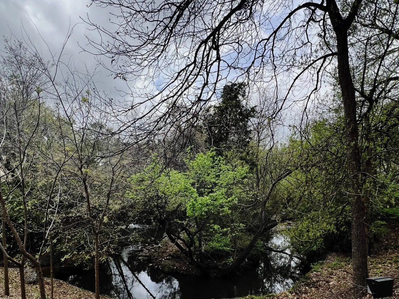 Community greenbelt