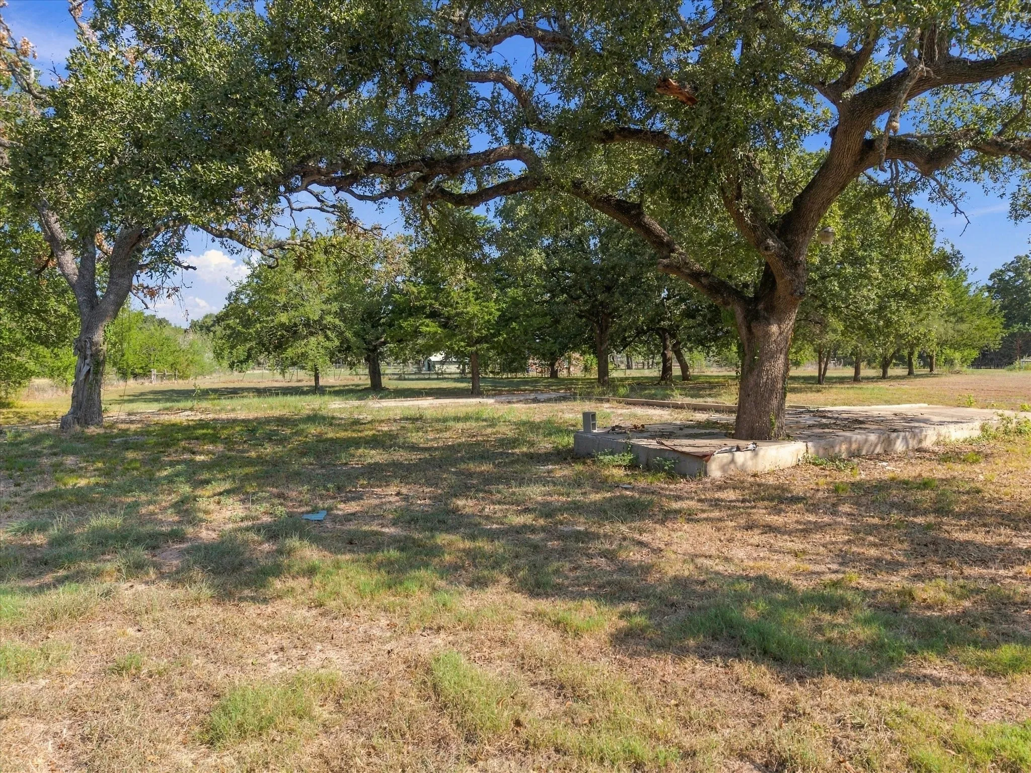 Expansive parcel featuring mature trees, open clearings, and a partial concrete foundation