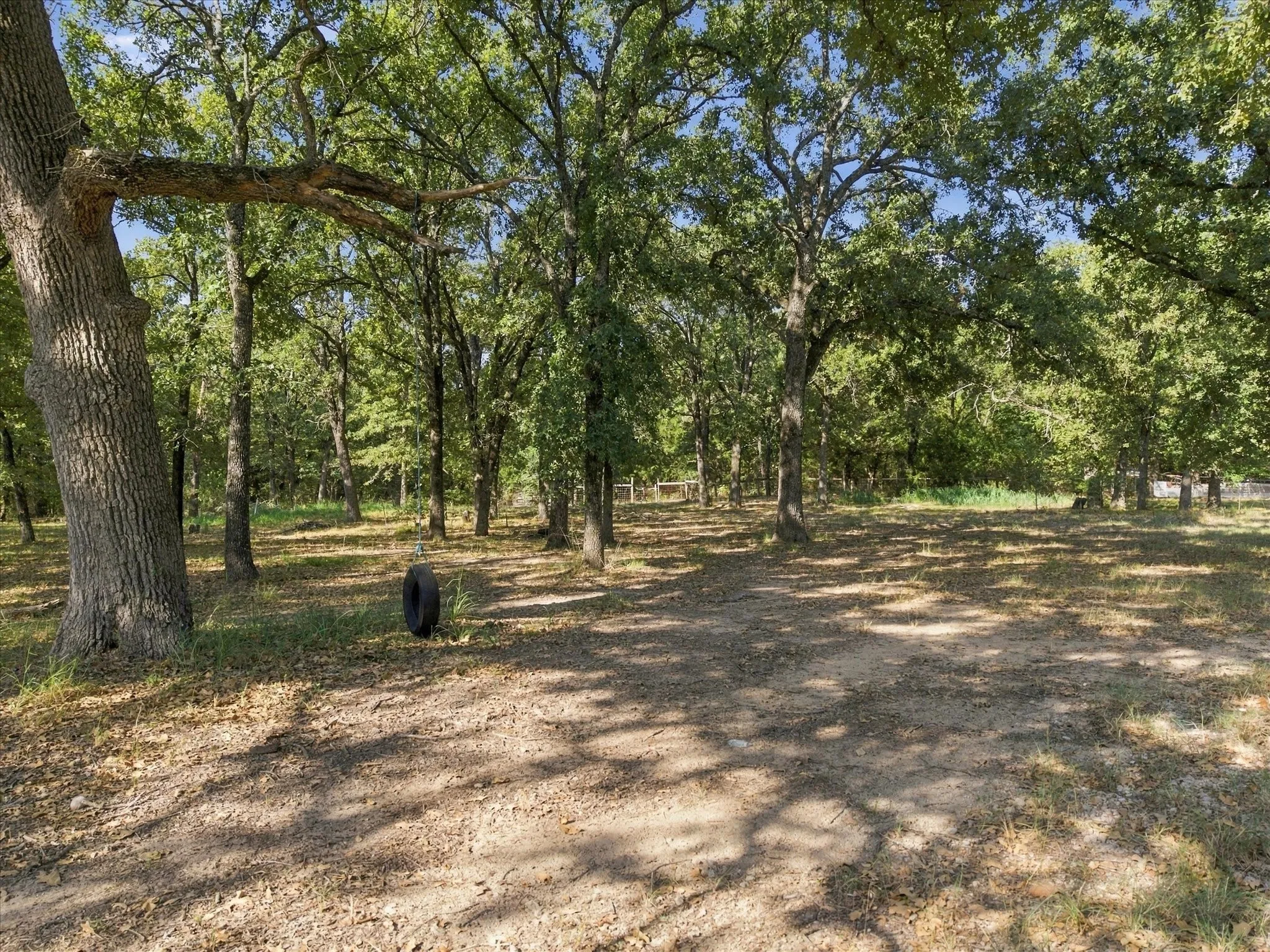 Expansive wooded grounds featuring mature trees and a naturalistic landscape