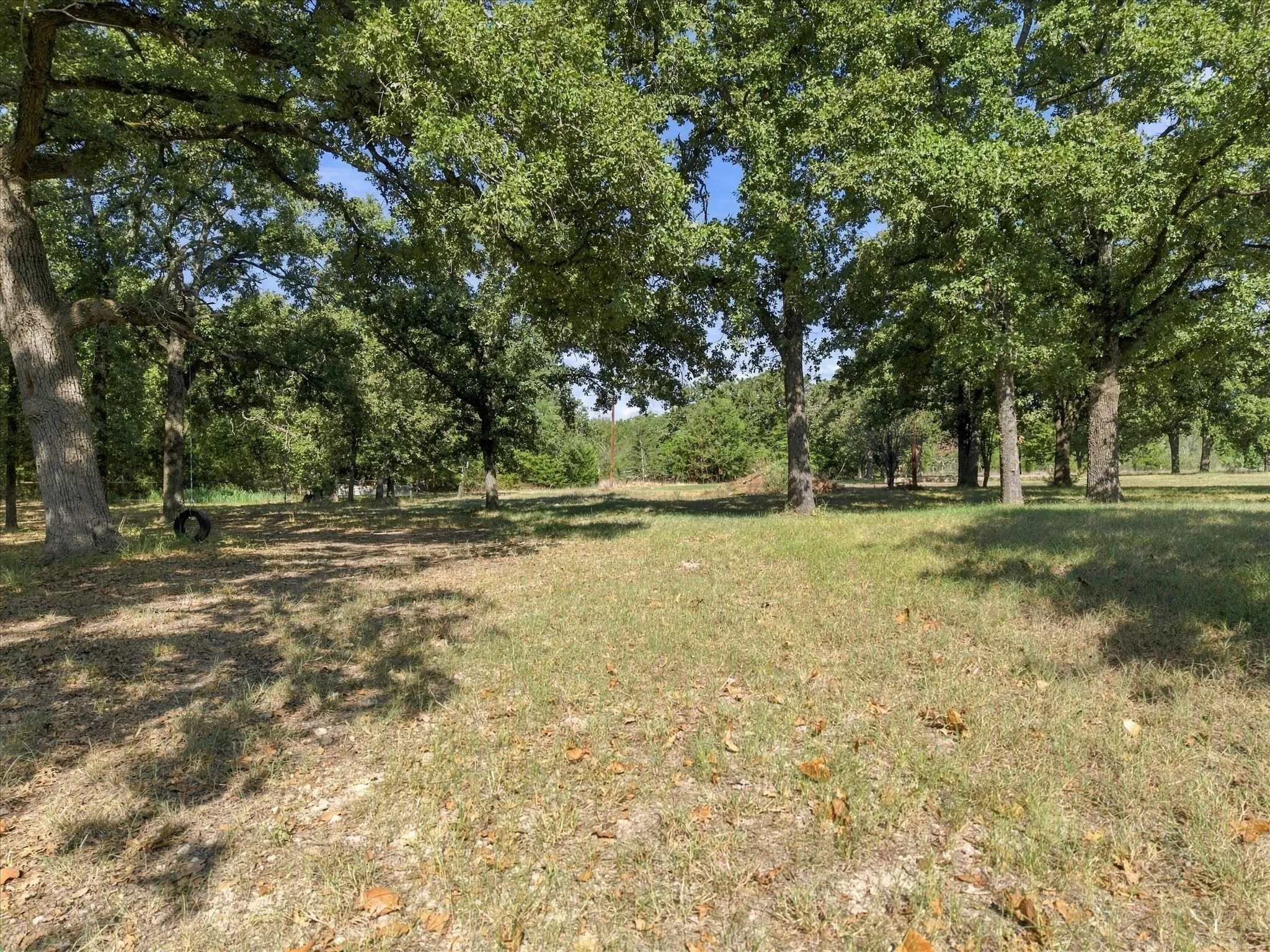 Expansive natural landscape with mature trees and open grassy areas