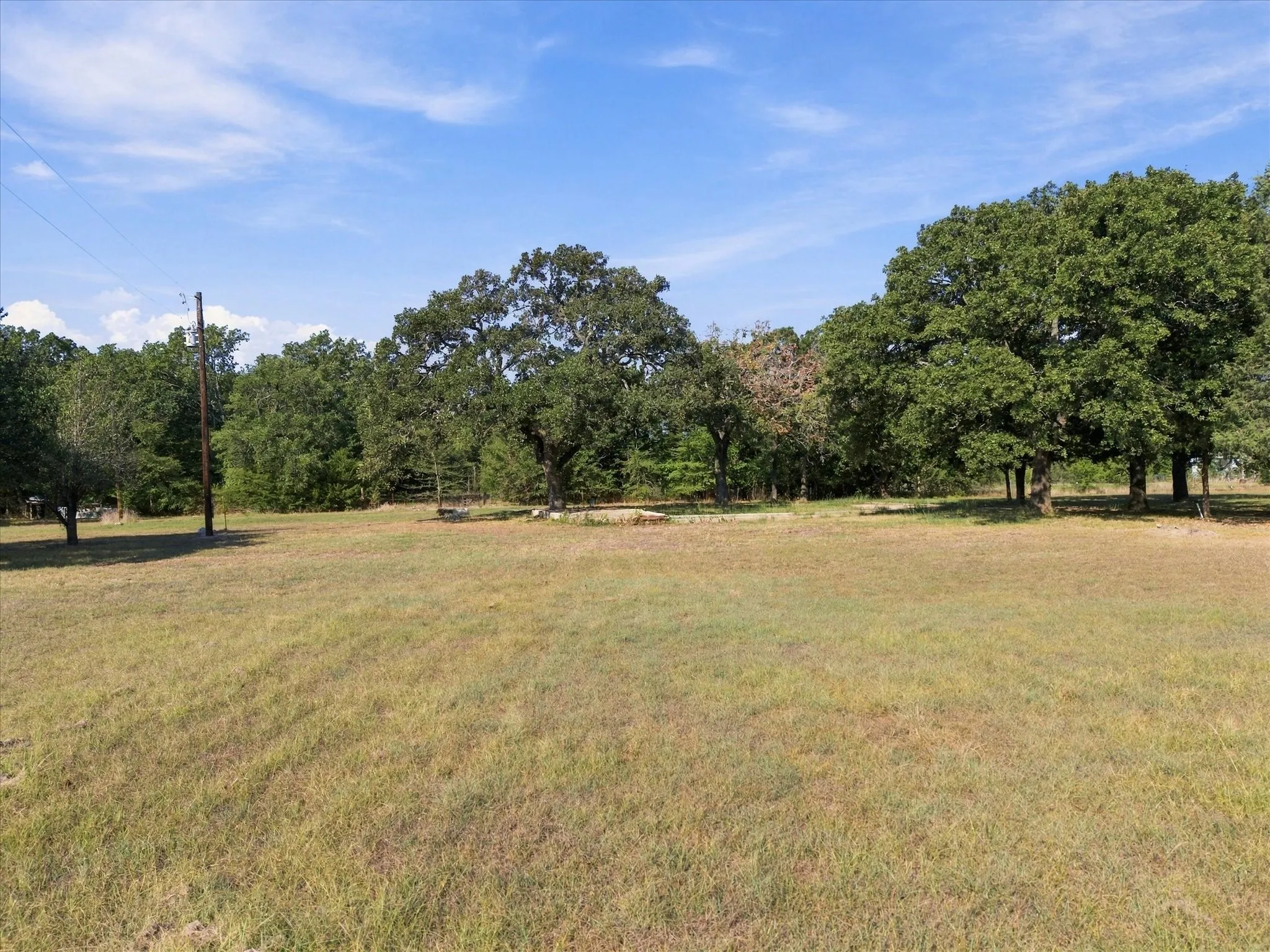 Expansive open field with scattered mature trees and a clear blue sky
