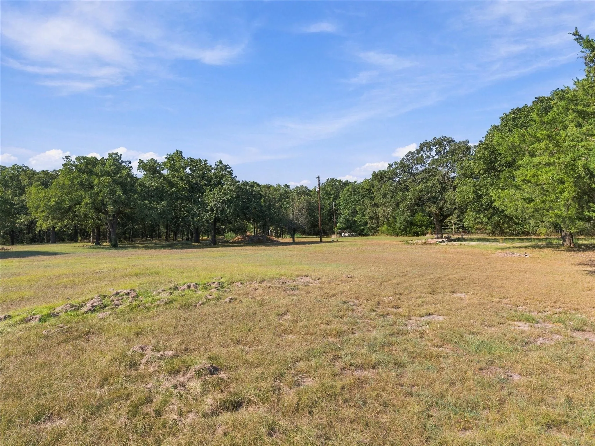 Expansive open field with scattered green and golden grasses, bordered by a dense line of mature trees