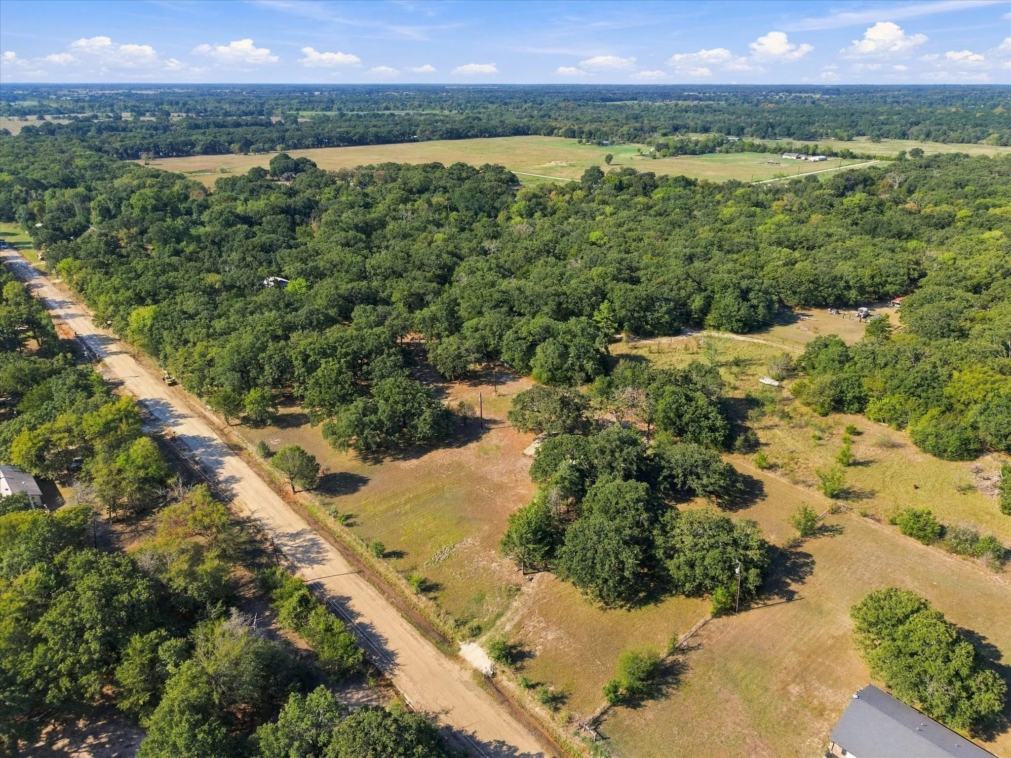 Expansive acreage featuring mature trees and open clearings