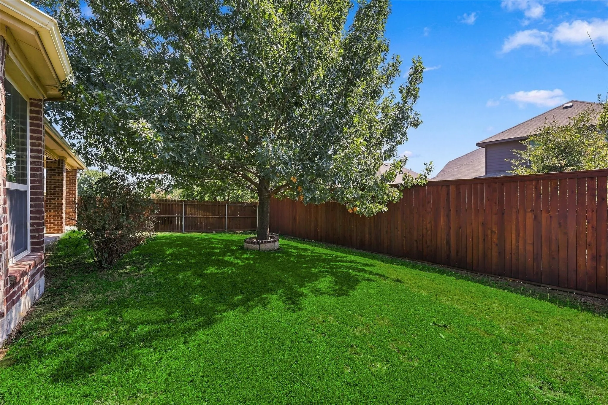 Expansive backyard featuring a manicured lawn, established tree, and privacy fencing