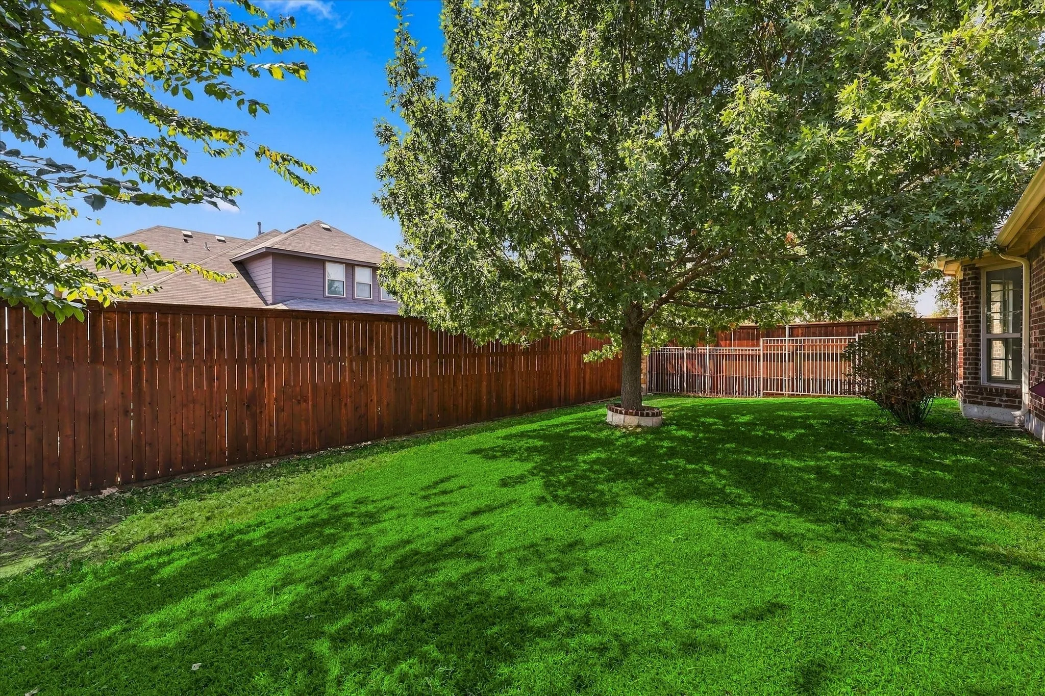 Expansive backyard featuring a manicured lawn, mature shade tree, and wood privacy fencing