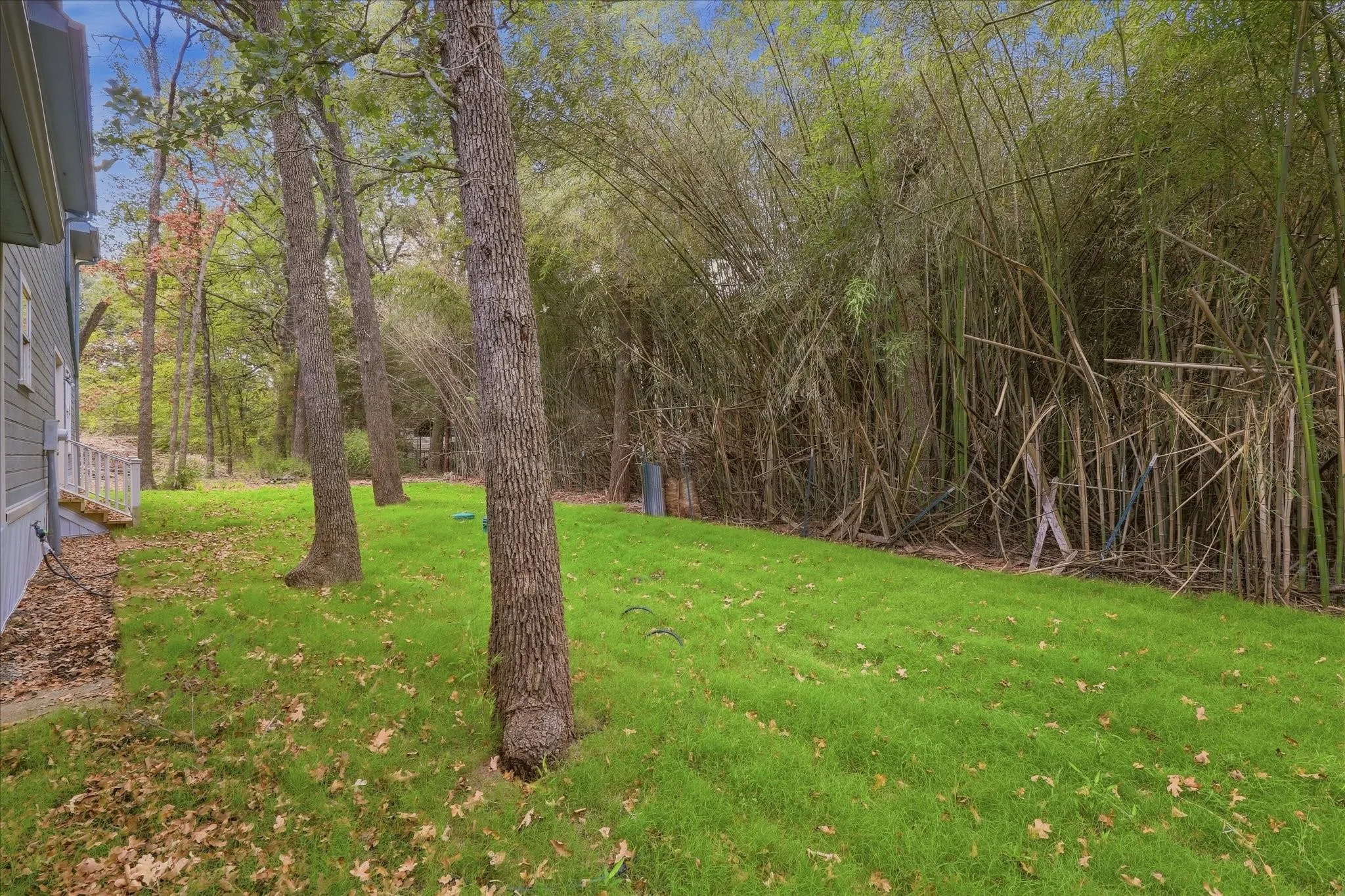 Bamboo forest gives extra privacy in back.