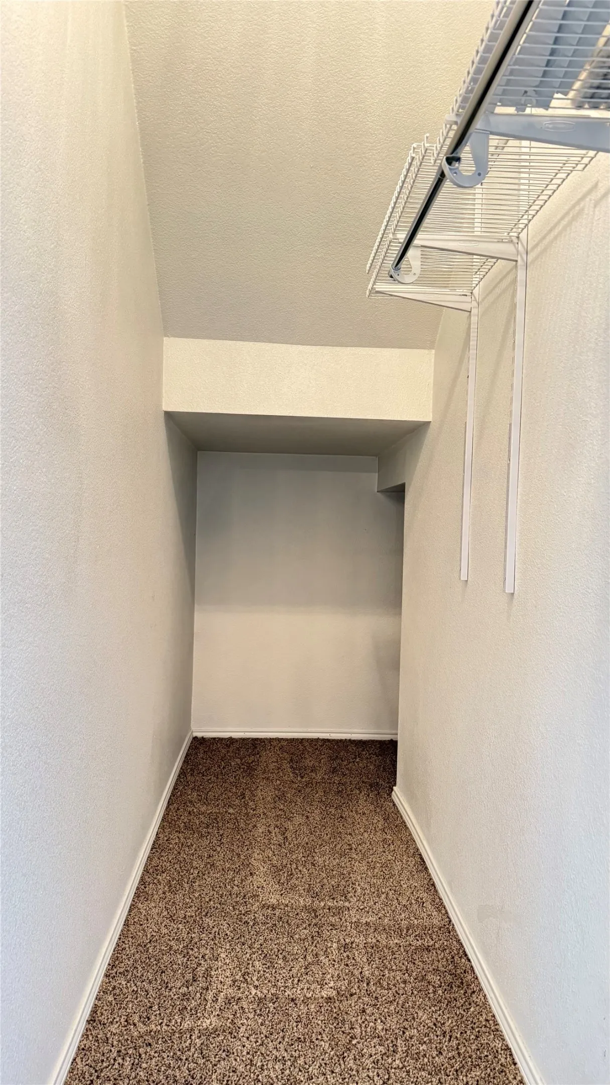Spacious closet with carpet