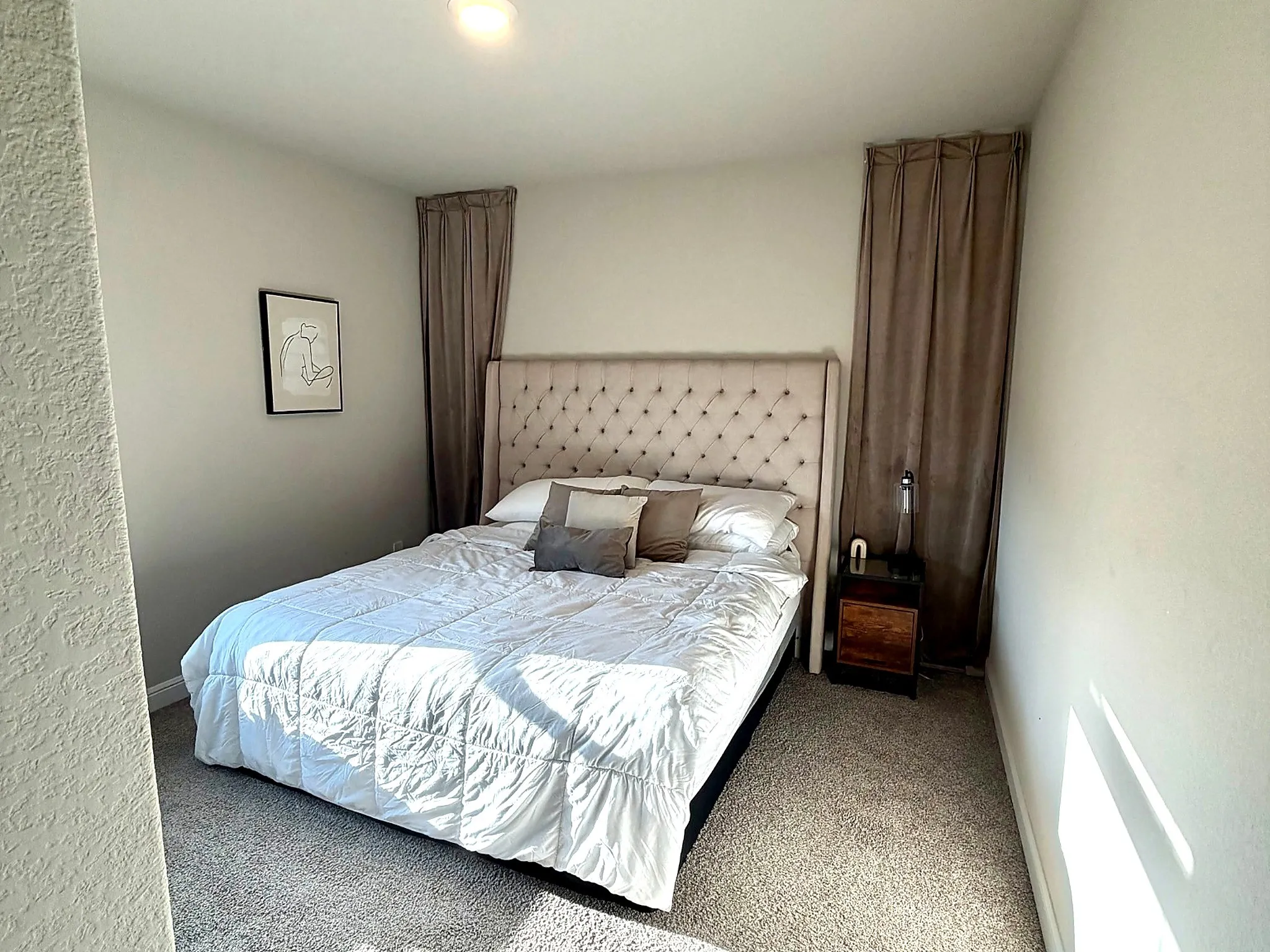 Plush carpeting, recessed ceiling lighting, and neutral wall tones
