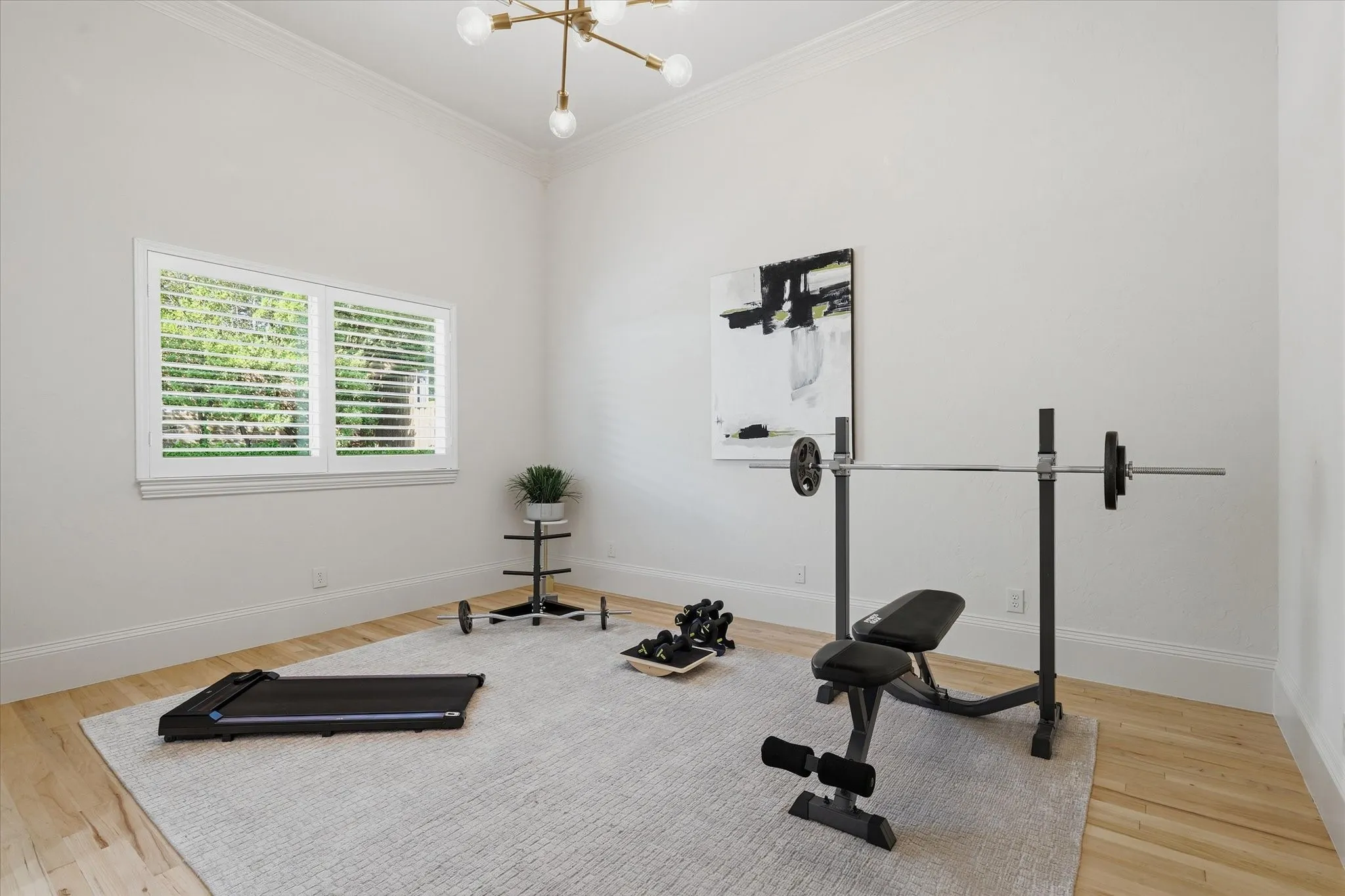 First floor guest bedroom is currently utilized as a home gym.