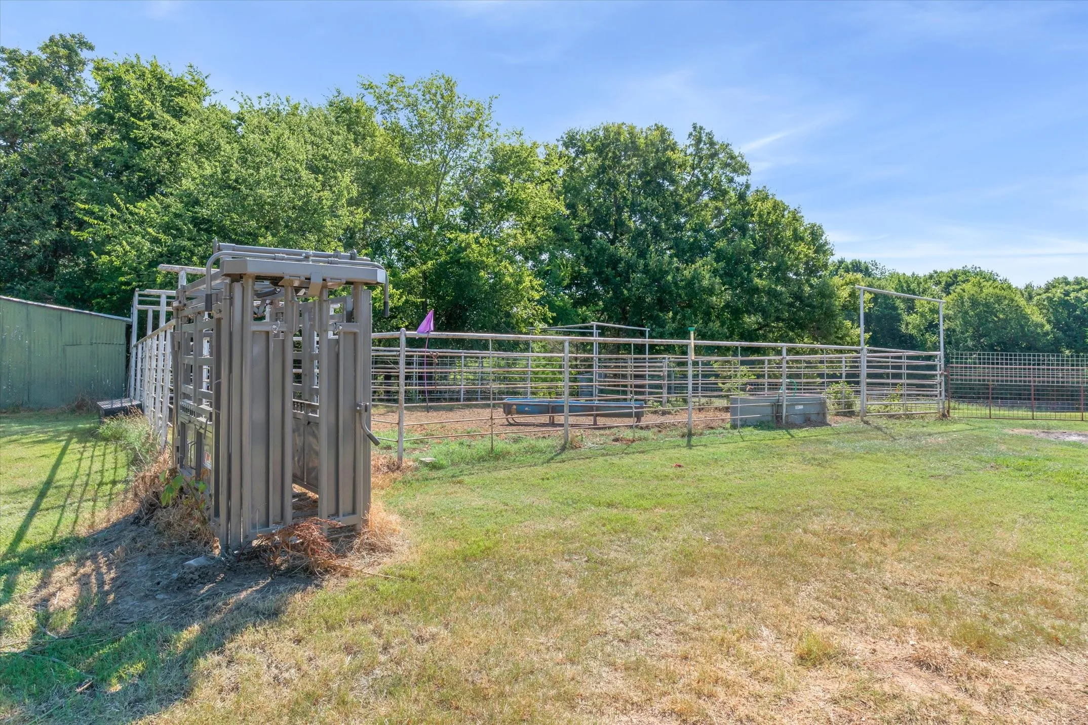Chutes and cattle pens in place