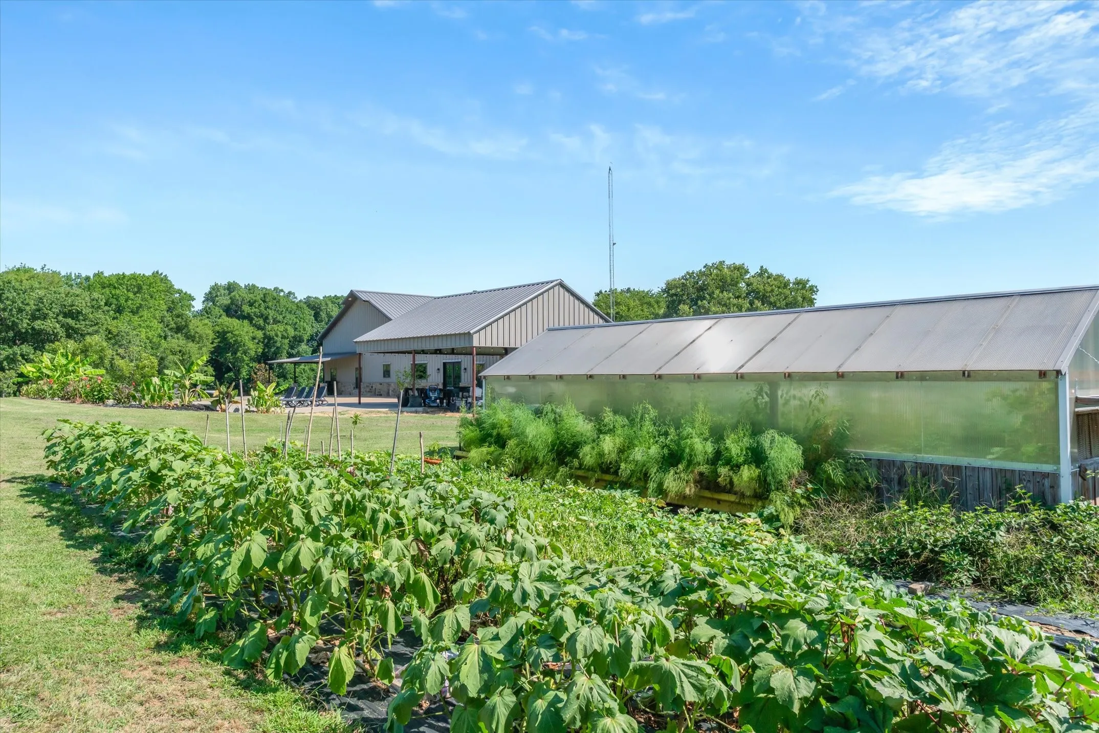 Garden area has weed control tarps in place