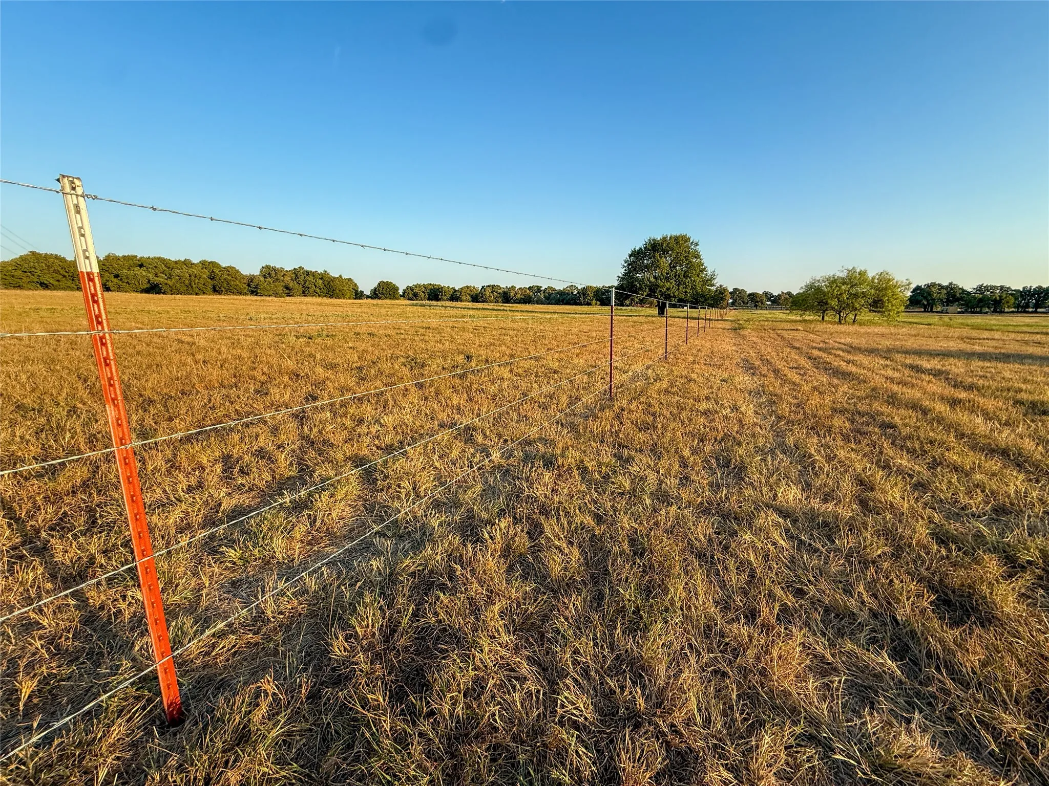 Unimproved Land For Sale in Wise County , 455 County Rd 1650, Chico, Texas 76431, 0, 0, Garage spaces, 0 Sqft, built in 0, mls#21395819, Real Estate Agent in Chico, Homes For Sale in Wise county, Homes For Sale in Chico, Realtor in Chico Texas, Real Estate Brokerage Independent Realty Texas, Luminita Cordes Realtor