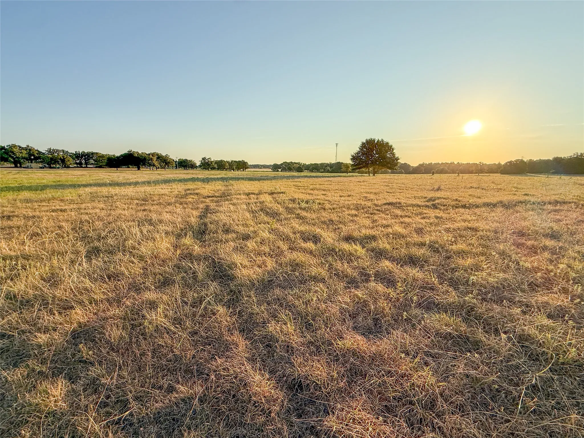 Unimproved Land For Sale in Wise County , 455 County Rd 1650, Chico, Texas 76431, 0, 0, Garage spaces, 0 Sqft, built in 0, mls#21395819, Real Estate Agent in Chico, Homes For Sale in Wise county, Homes For Sale in Chico, Realtor in Chico Texas, Real Estate Brokerage Independent Realty Texas, Luminita Cordes Realtor