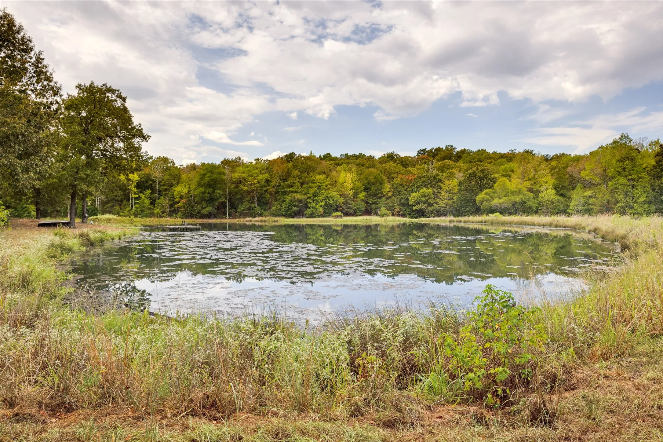Single Family Residence For Sale in Van Zandt County , 1522 Fm 17, Grand Saline, Texas 75140, 2 Bedroom, 2 Bathroom, 2 Garage spaces, 1,520 Sqft, built in 2000, mls#21388357, Real Estate Agent in Grand Saline, Homes For Sale in Van Zandt county, Homes For Sale in Grand Saline, Realtor in Grand Saline Texas, Real Estate Brokerage Independent Realty Texas, Luminita Cordes Realtor