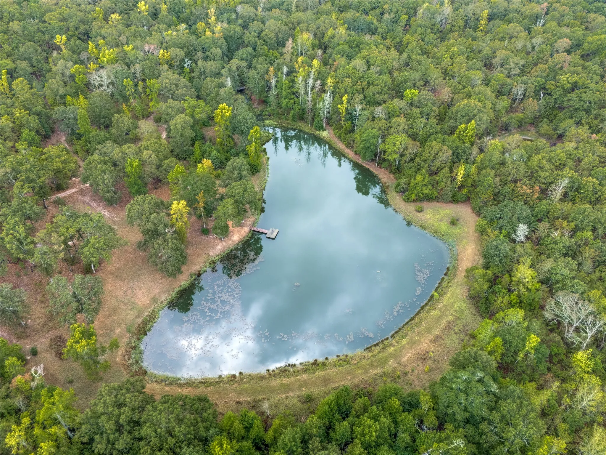 Single Family Residence For Sale in Van Zandt County , 1522 Fm 17, Grand Saline, Texas 75140, 2 Bedroom, 2 Bathroom, 2 Garage spaces, 1,520 Sqft, built in 2000, mls#21388357, Real Estate Agent in Grand Saline, Homes For Sale in Van Zandt county, Homes For Sale in Grand Saline, Realtor in Grand Saline Texas, Real Estate Brokerage Independent Realty Texas, Luminita Cordes Realtor