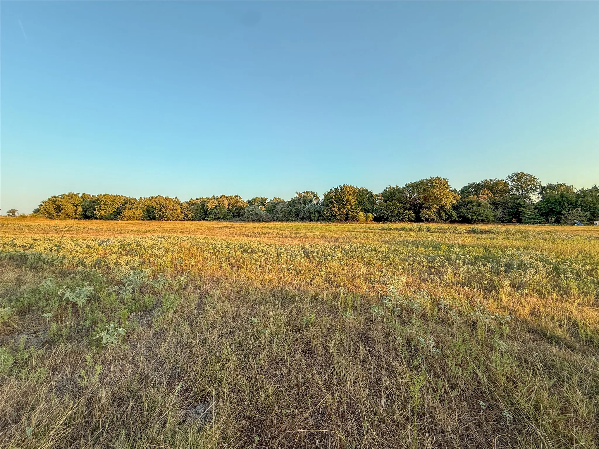 Unimproved Land For Sale in Wise County , 481 County Rd 1650, Chico, Texas 76431, 0, 0, Garage spaces, 0 Sqft, built in 0, mls#21395834, Real Estate Agent in Chico, Homes For Sale in Wise county, Homes For Sale in Chico, Realtor in Chico Texas, Real Estate Brokerage Independent Realty Texas, Luminita Cordes Realtor