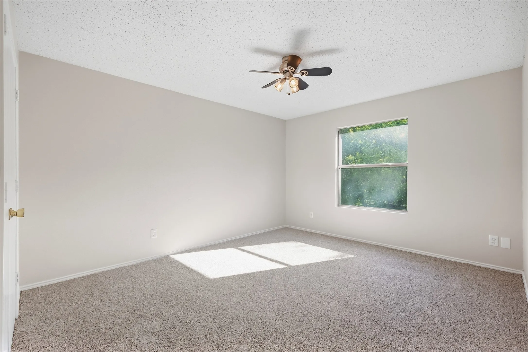 Neutral tone wall paint, textured ceiling, ceiling fan, carpet flooring, and a single window