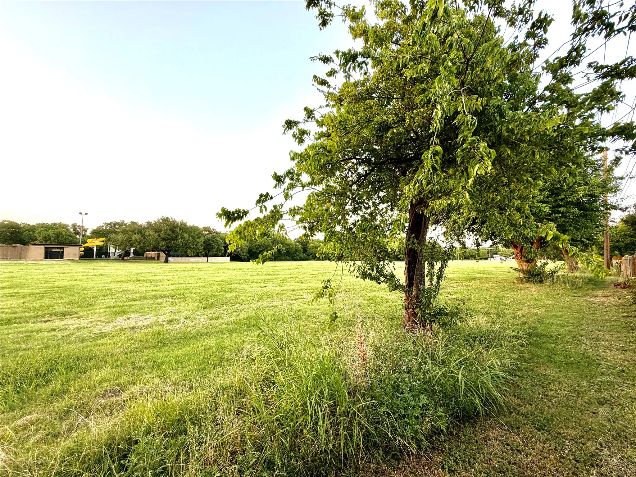 Expansive grassy field featuring a mature tree in the foreground