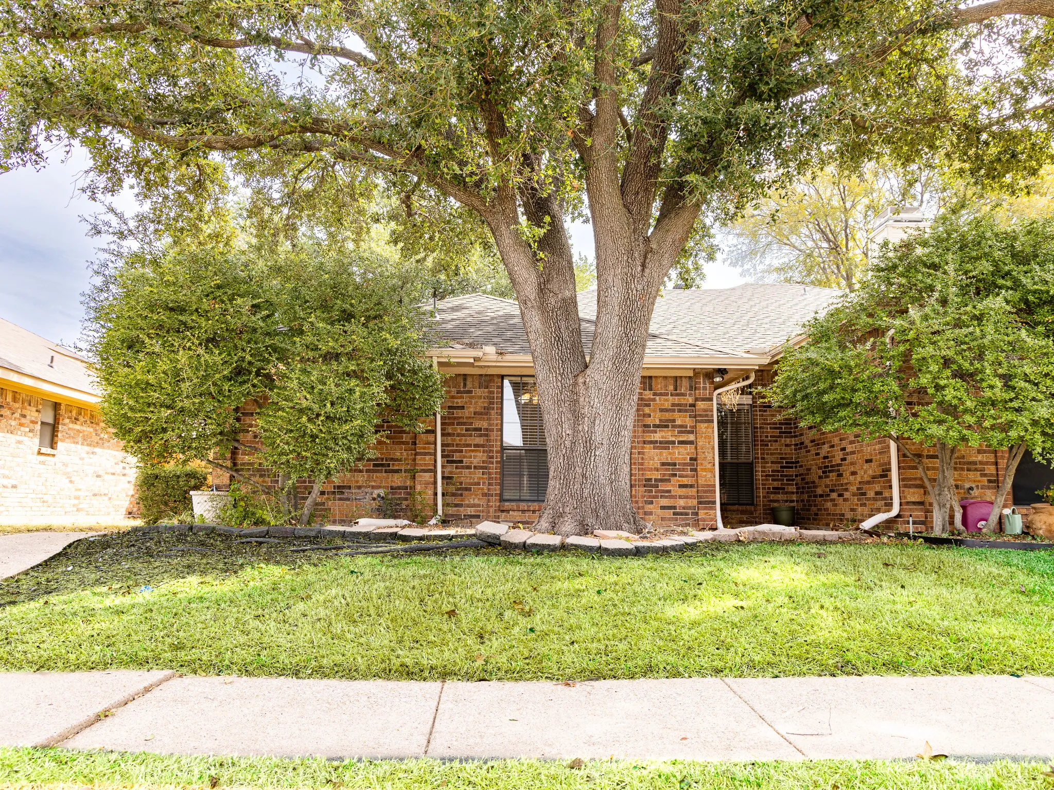 Brick exterior with mature tree, established shrubbery, and a concrete walkway