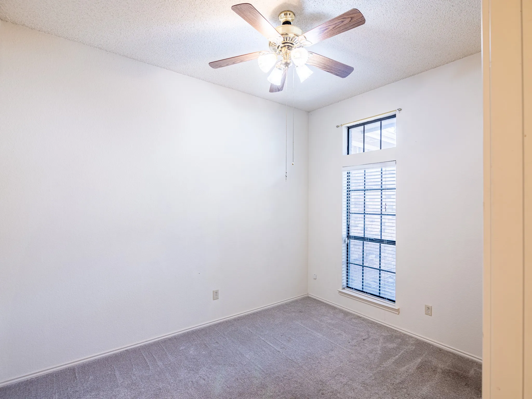 Textured ceiling, ceiling fan with light fixture, carpeted flooring, and a large window with horizontal blinds