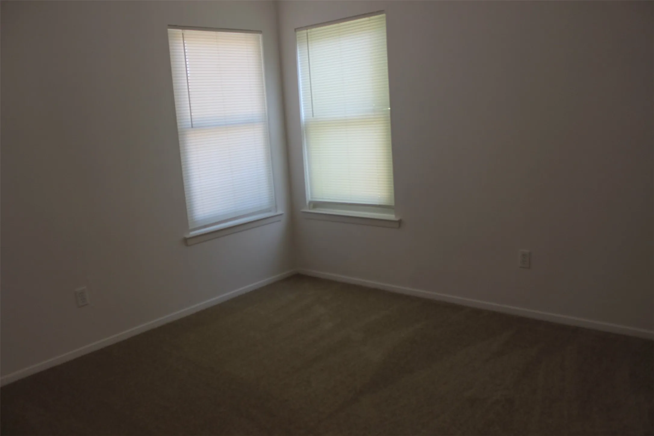 Carpeted flooring, white walls, and two windows with blinds