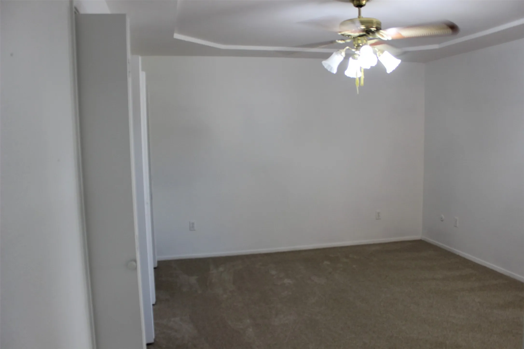 Tray ceiling with a ceiling fan light fixture, wall-to-wall carpeting, and white painted walls