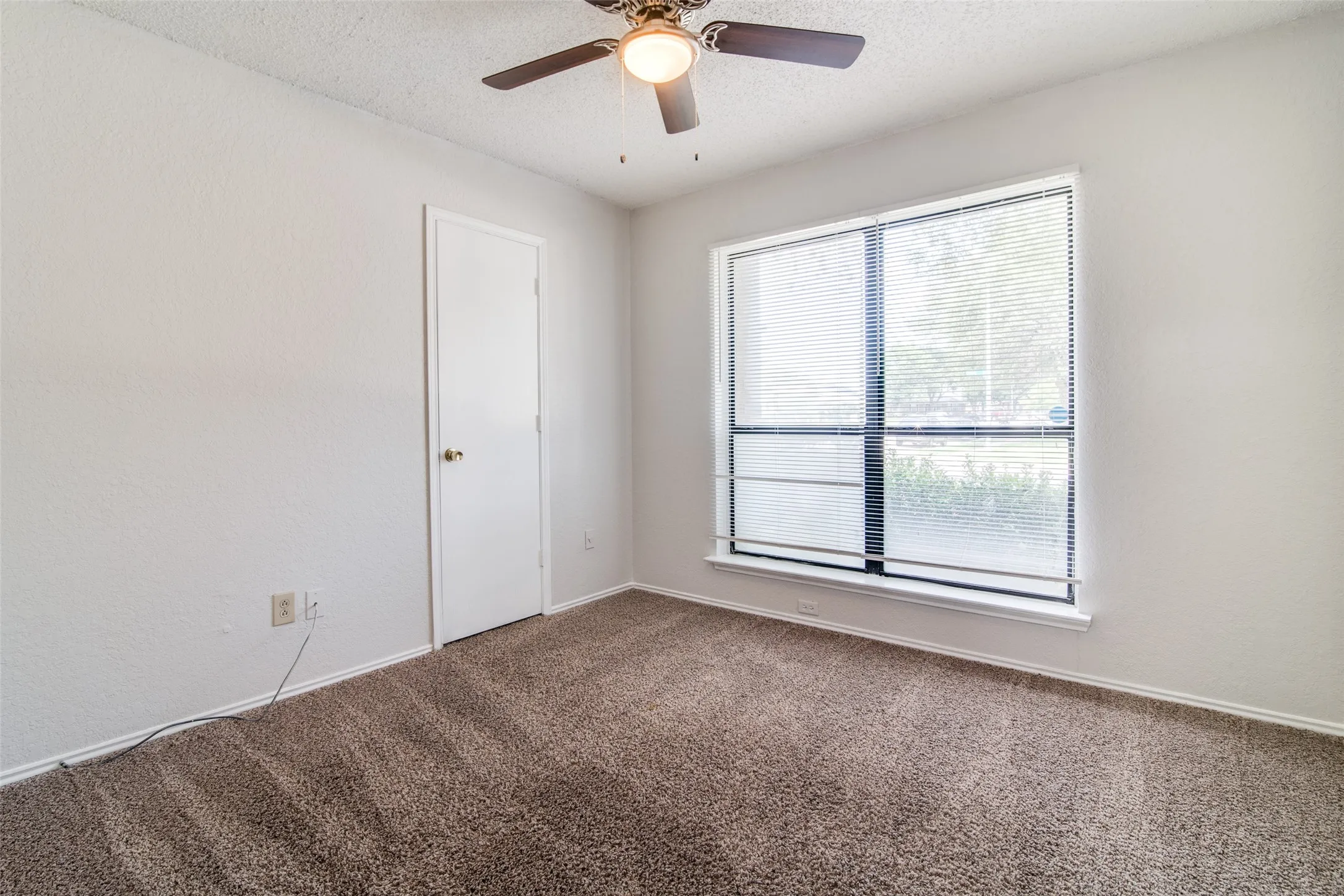 Textured walls, ceiling fan with light, large window with blinds, and neutral tone carpeting