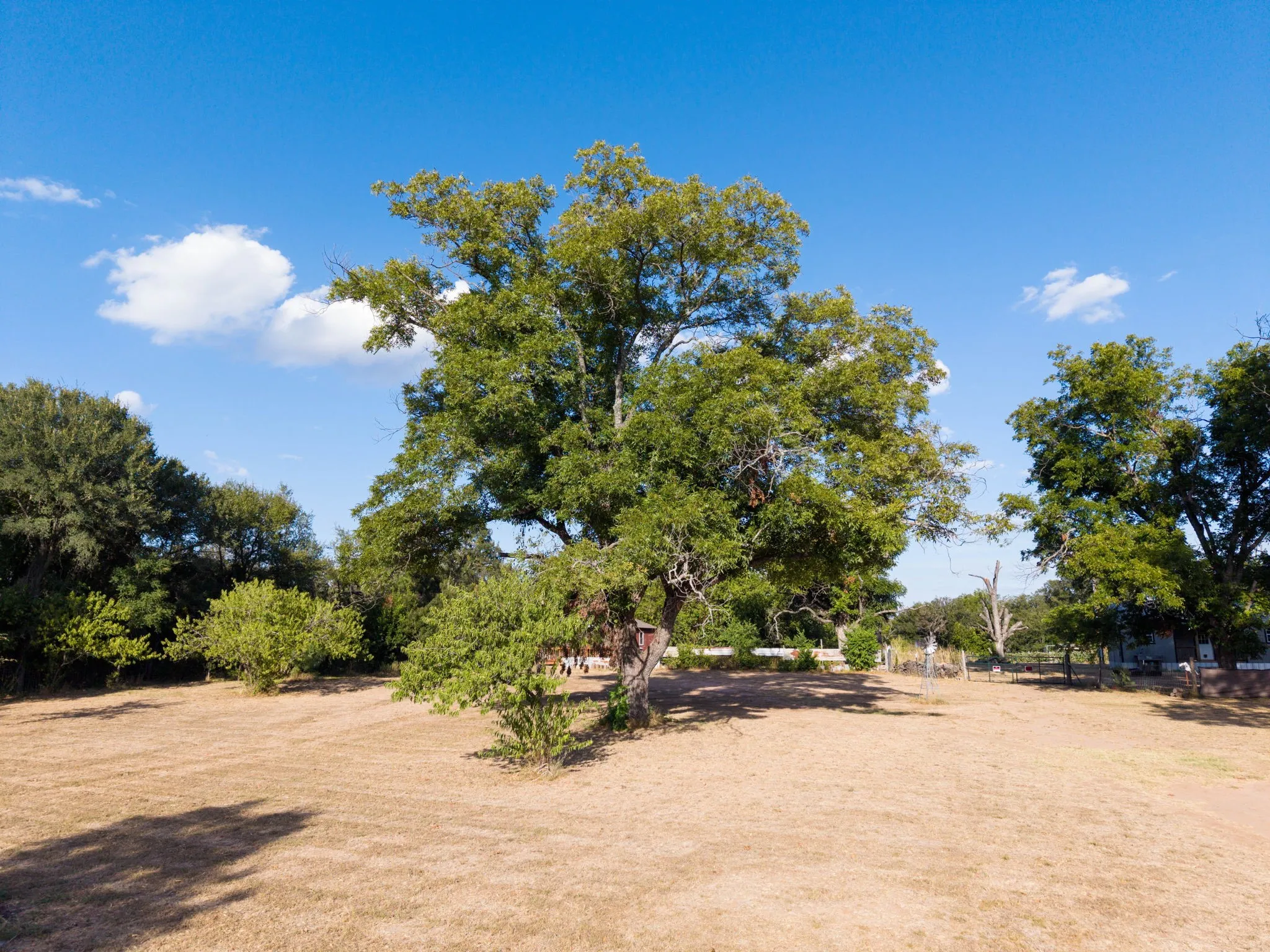Expansive outdoor area featuring mature trees and open ground