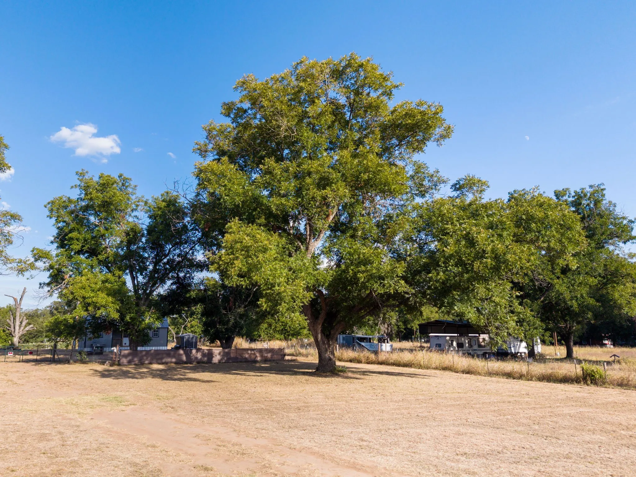 Expansive property featuring mature trees, open land, and multiple structures