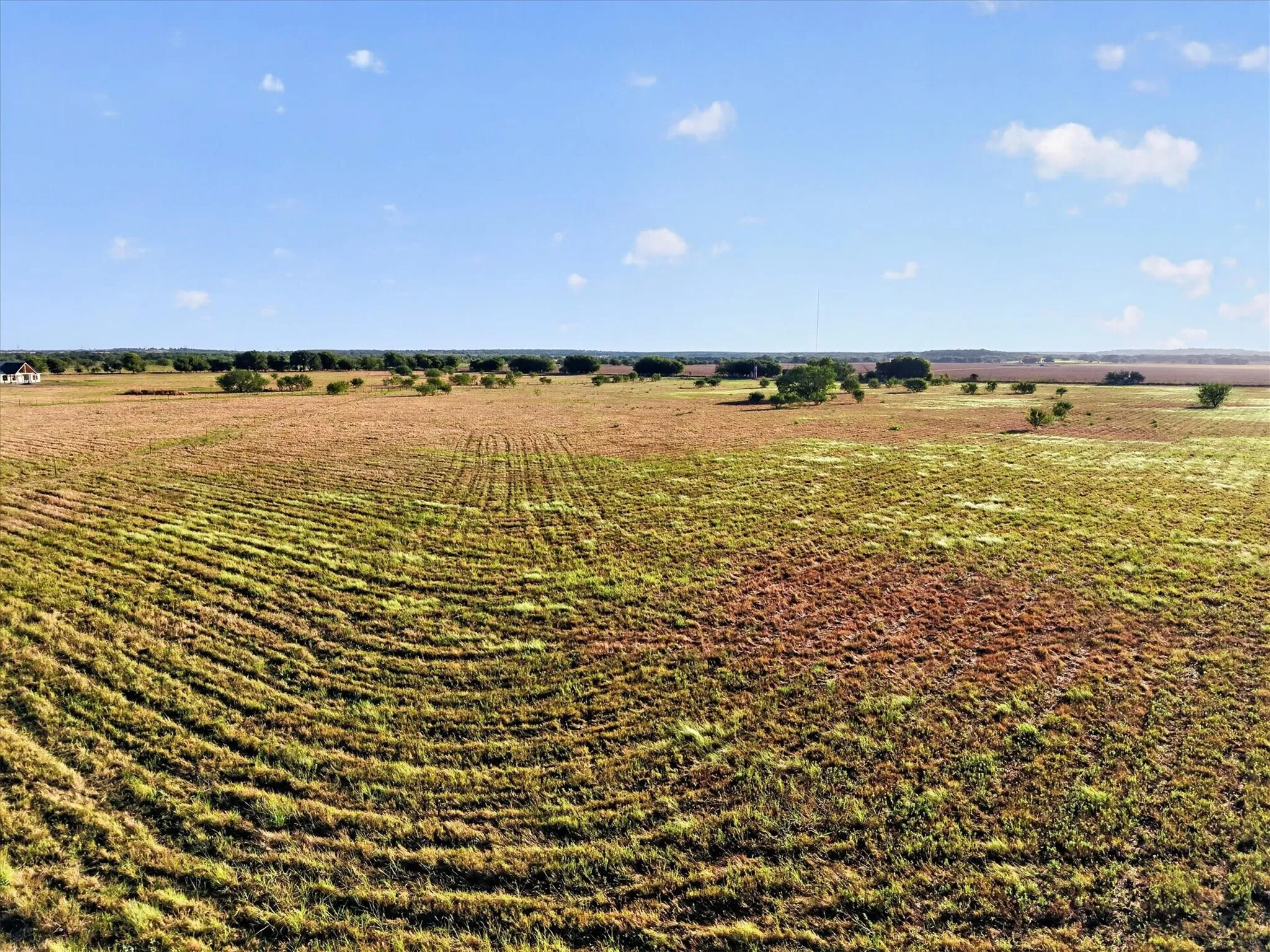 Unimproved Land For Sale in Jack County , TBD Prairie View Road, Perrin, Texas 76486, 0, 0, Garage spaces, 0 Sqft, built in 0, mls#21393289, Real Estate Agent in Perrin, Homes For Sale in Jack county, Homes For Sale in Perrin, Realtor in Perrin Texas, Real Estate Brokerage Independent Realty Texas, Luminita Cordes Realtor