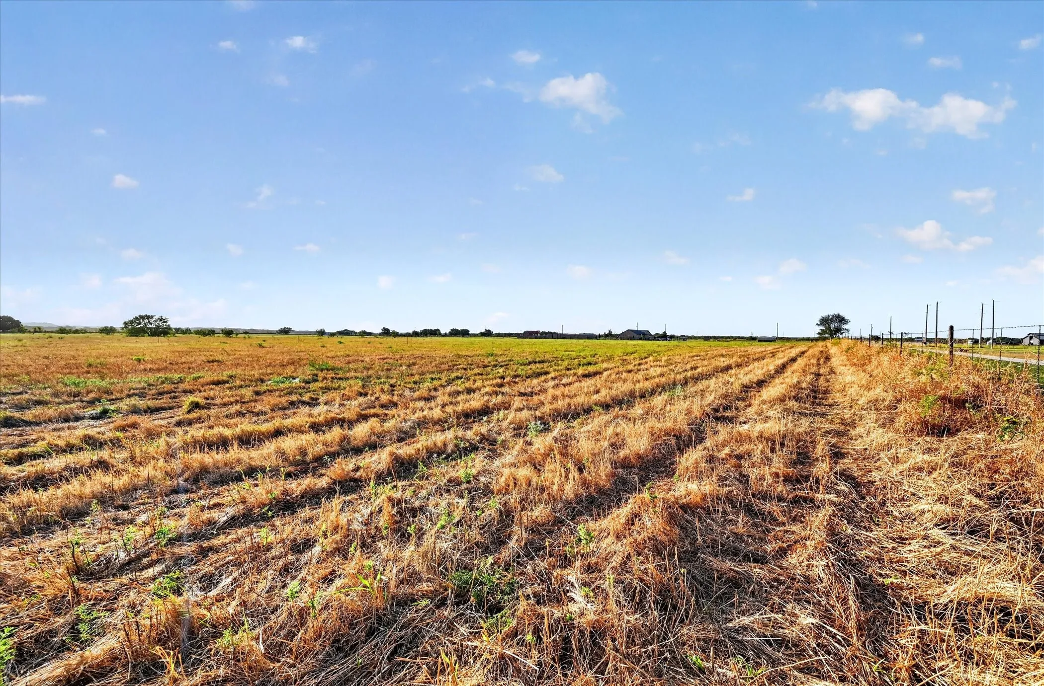 Unimproved Land For Sale in Jack County , TBD Prairie View Road, Perrin, Texas 76486, 0, 0, Garage spaces, 0 Sqft, built in 0, mls#21393289, Real Estate Agent in Perrin, Homes For Sale in Jack county, Homes For Sale in Perrin, Realtor in Perrin Texas, Real Estate Brokerage Independent Realty Texas, Luminita Cordes Realtor