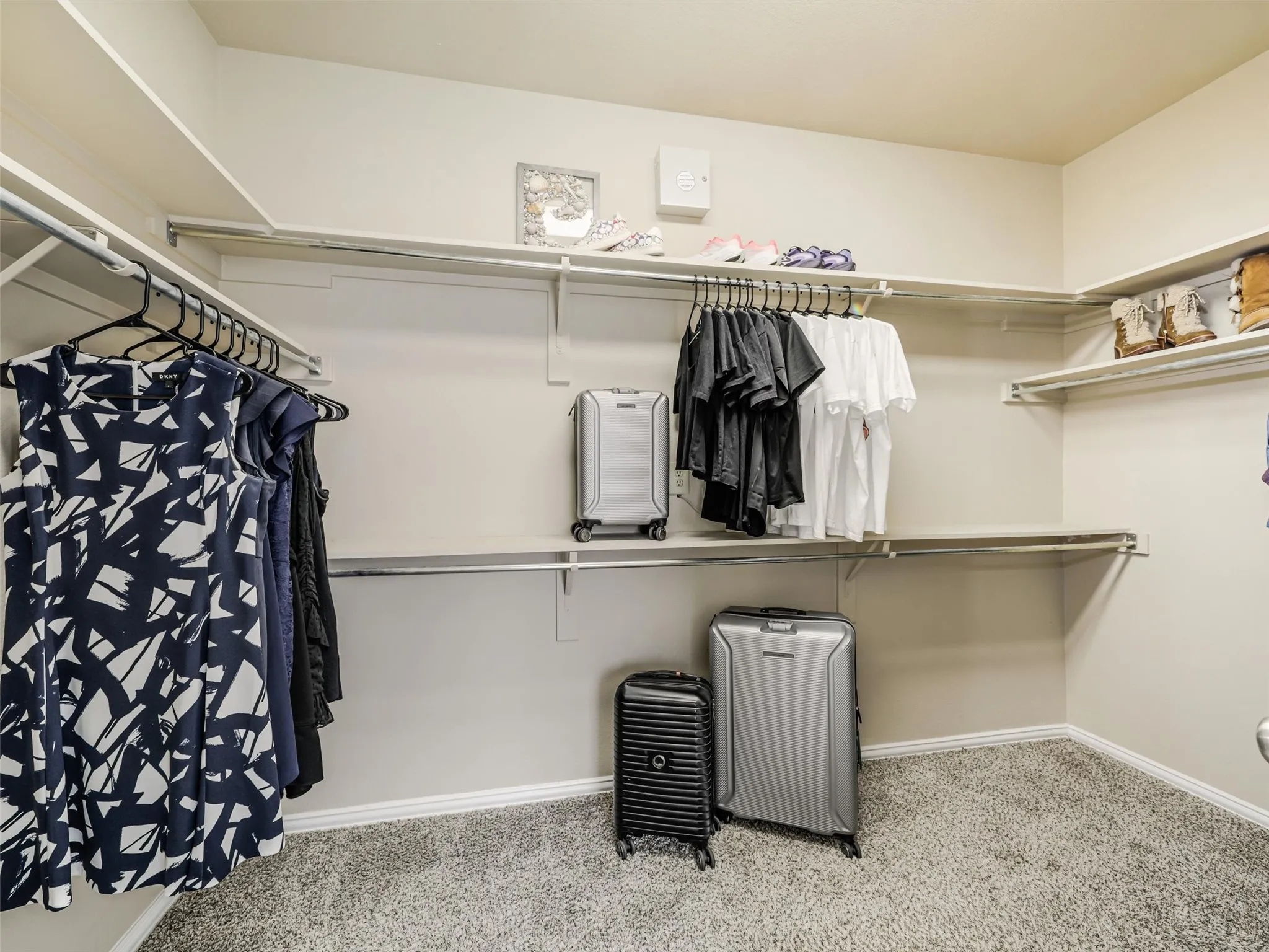 Generous walk-in closet features wraparound shelving and multiple hanging rods for convenient clothing and accessory storage.