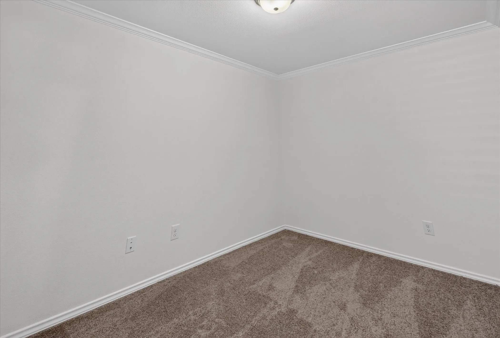 Neutral wall paint, crown molding, and carpeted flooring