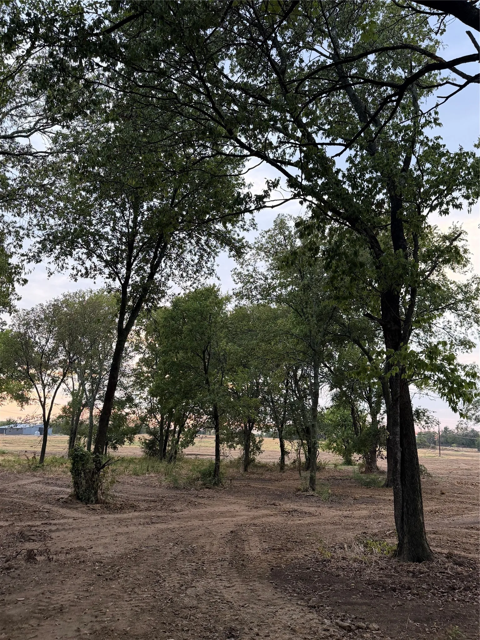 Unimproved Land For Sale in Johnson County , 4808 County Road 707, Alvarado, Texas 76009, 0, 0, Garage spaces, 0 Sqft, built in 2026, mls#21383274, Real Estate Agent in Alvarado, Homes For Sale in Johnson county, Homes For Sale in Alvarado, Realtor in Alvarado Texas, Real Estate Brokerage Independent Realty Texas, Luminita Cordes Realtor