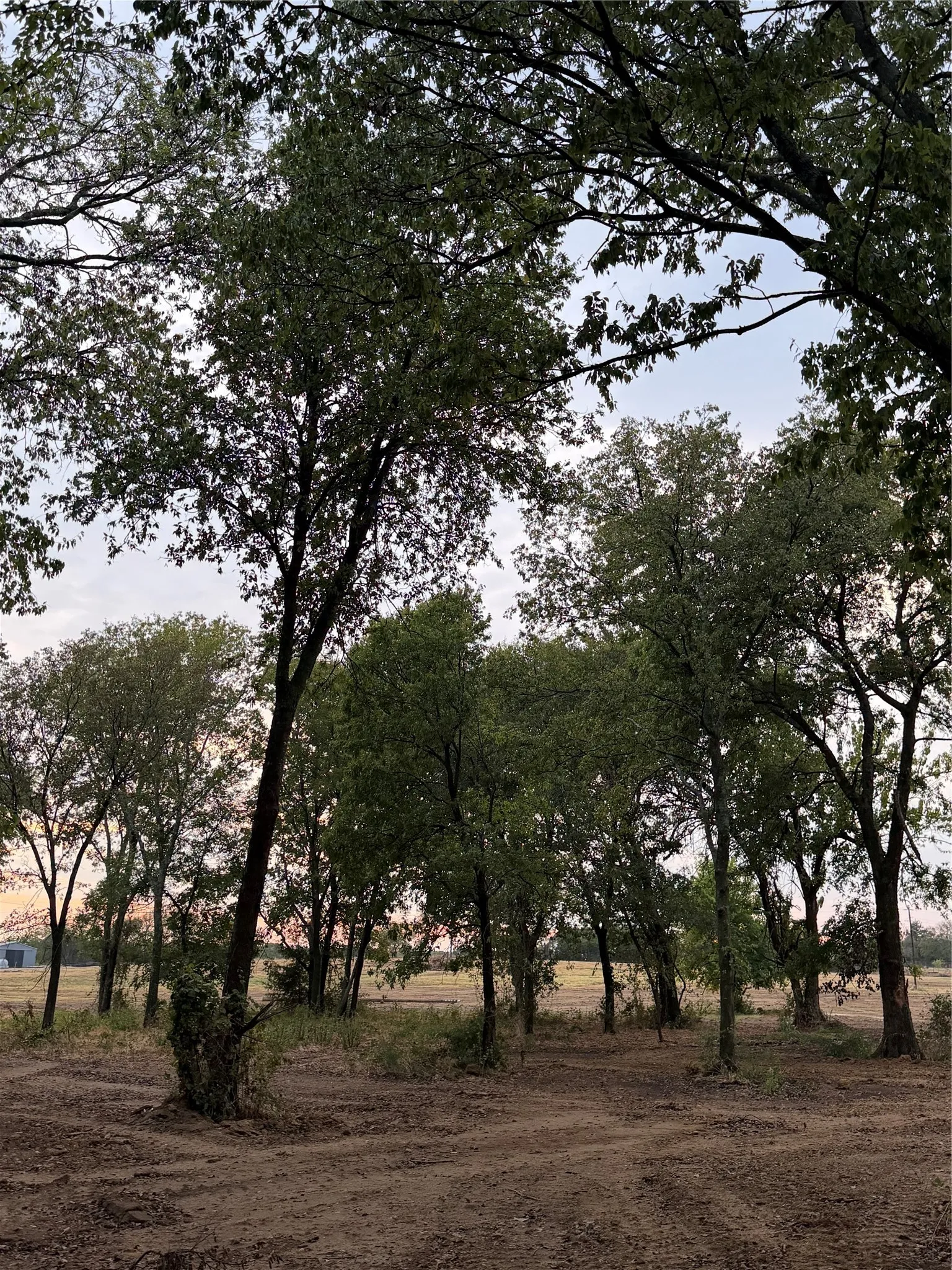 Unimproved Land For Sale in Johnson County , 4808 County Road 707, Alvarado, Texas 76009, 0, 0, Garage spaces, 0 Sqft, built in 2026, mls#21383274, Real Estate Agent in Alvarado, Homes For Sale in Johnson county, Homes For Sale in Alvarado, Realtor in Alvarado Texas, Real Estate Brokerage Independent Realty Texas, Luminita Cordes Realtor