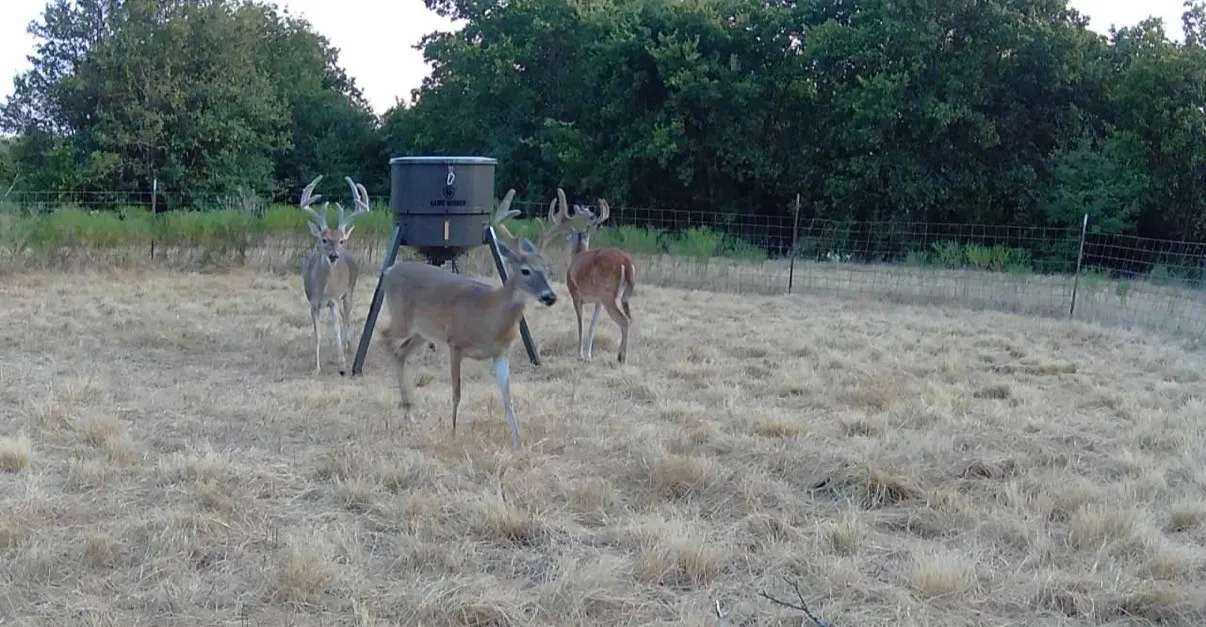 Farm For Sale in Johnson County , 5900 County Road 1229, Godley, Texas 76044, 3 Bedroom, 3 Bathroom, 2 Garage spaces, 2,748 Sqft, built in 2004, mls#21378449, Real Estate Agent in Godley, Homes For Sale in Johnson county, Homes For Sale in Godley, Realtor in Godley Texas, Real Estate Brokerage Independent Realty Texas, Luminita Cordes Realtor