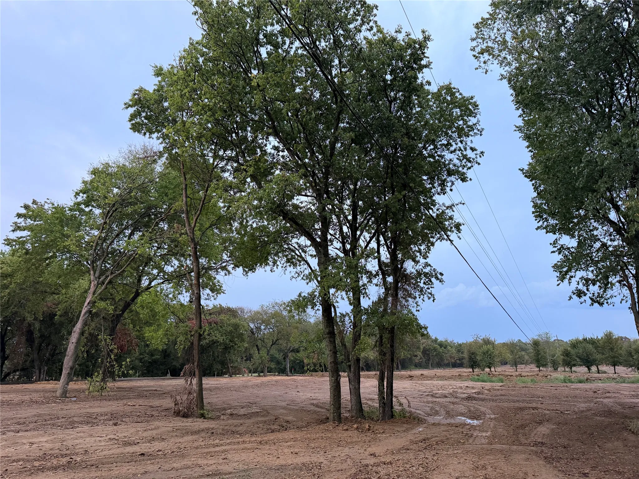 Unimproved Land For Sale in Johnson County , 4772 County Road 707, Alvarado, Texas 76009, 0, 0, Garage spaces, 0 Sqft, built in 2026, mls#21383270, Real Estate Agent in Alvarado, Homes For Sale in Johnson county, Homes For Sale in Alvarado, Realtor in Alvarado Texas, Real Estate Brokerage Independent Realty Texas, Luminita Cordes Realtor