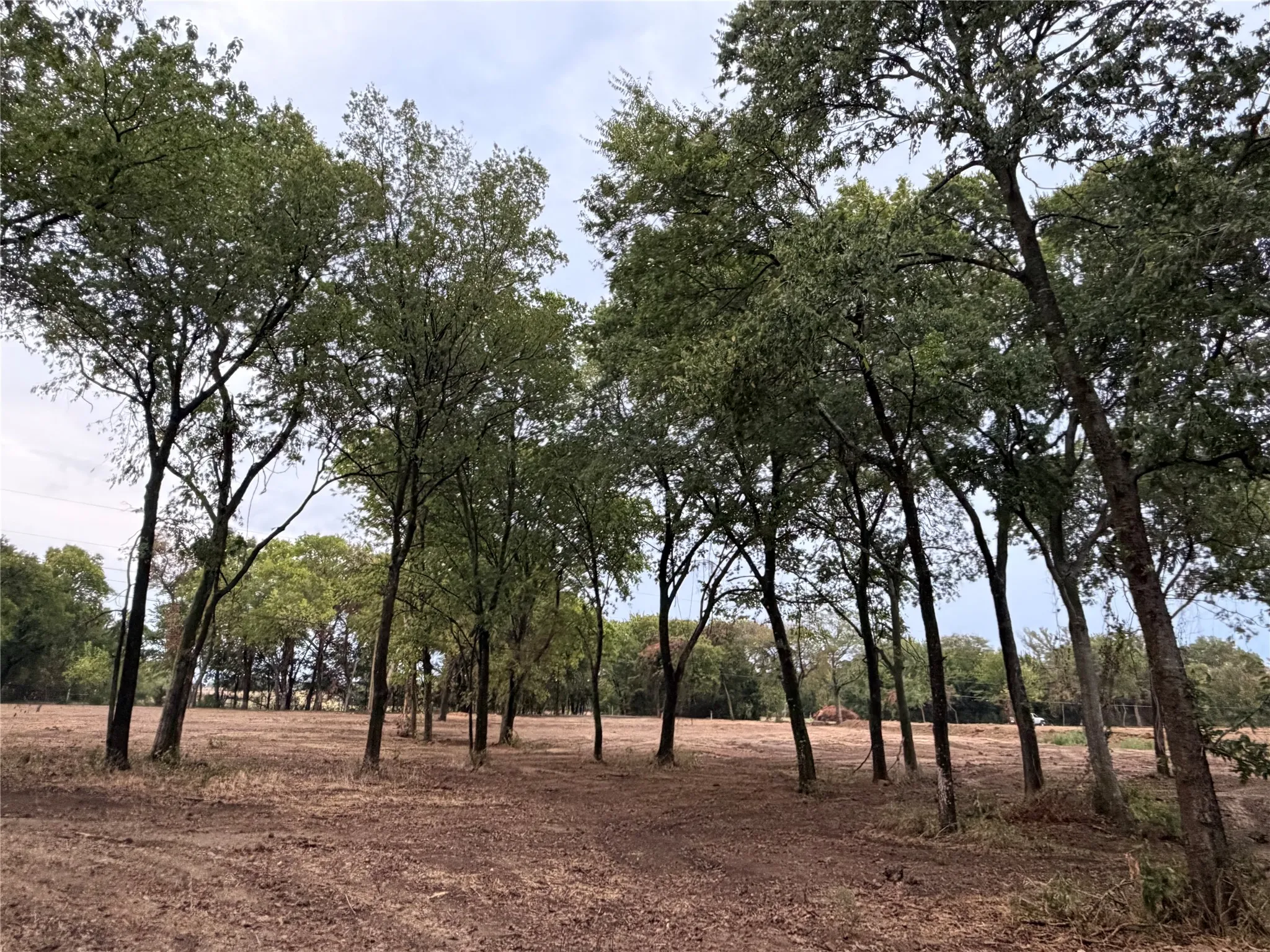 Unimproved Land For Sale in Johnson County , 4772 County Road 707, Alvarado, Texas 76009, 0, 0, Garage spaces, 0 Sqft, built in 2026, mls#21383270, Real Estate Agent in Alvarado, Homes For Sale in Johnson county, Homes For Sale in Alvarado, Realtor in Alvarado Texas, Real Estate Brokerage Independent Realty Texas, Luminita Cordes Realtor