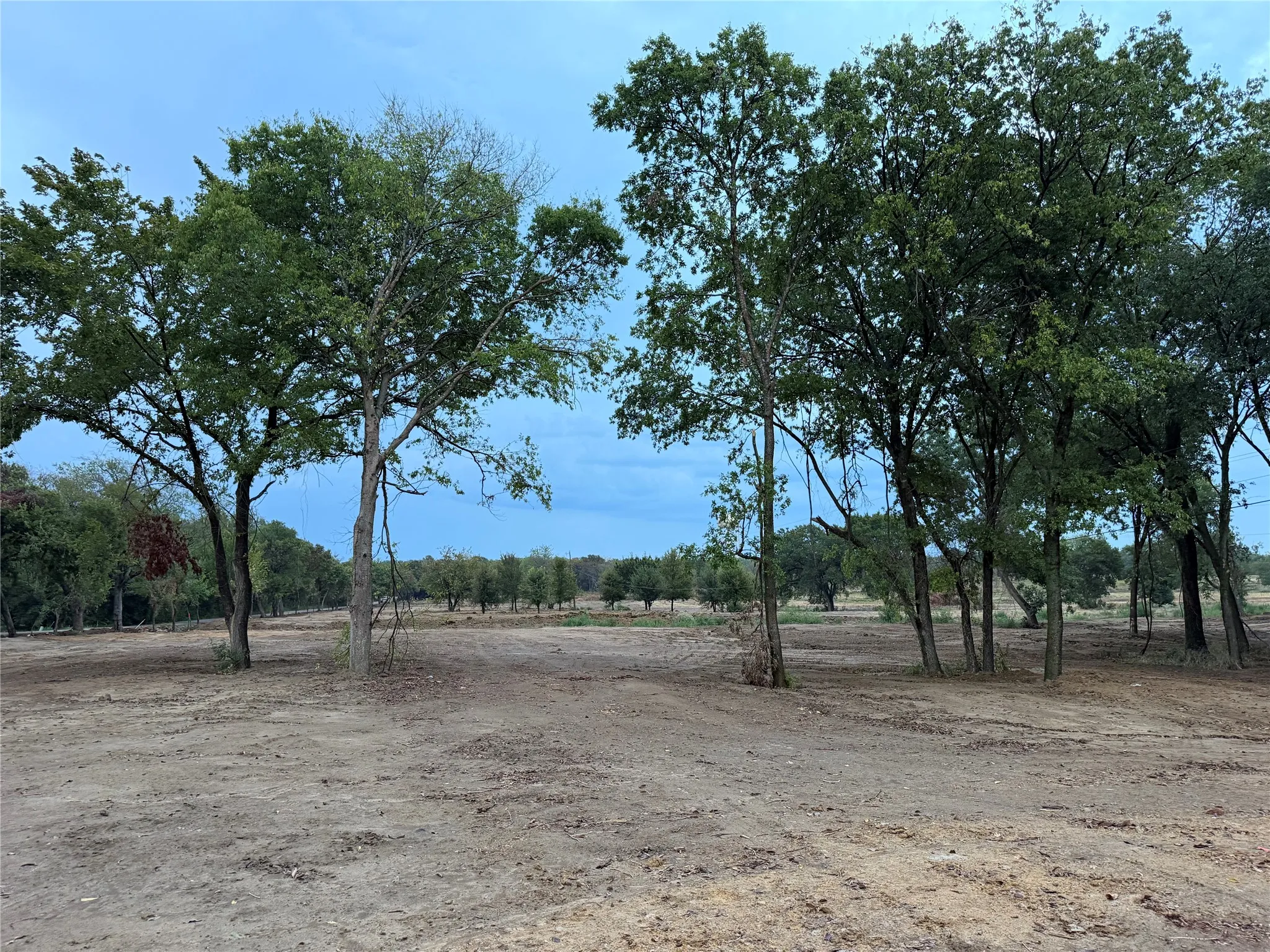 Unimproved Land For Sale in Johnson County , 4772 County Road 707, Alvarado, Texas 76009, 0, 0, Garage spaces, 0 Sqft, built in 2026, mls#21383270, Real Estate Agent in Alvarado, Homes For Sale in Johnson county, Homes For Sale in Alvarado, Realtor in Alvarado Texas, Real Estate Brokerage Independent Realty Texas, Luminita Cordes Realtor
