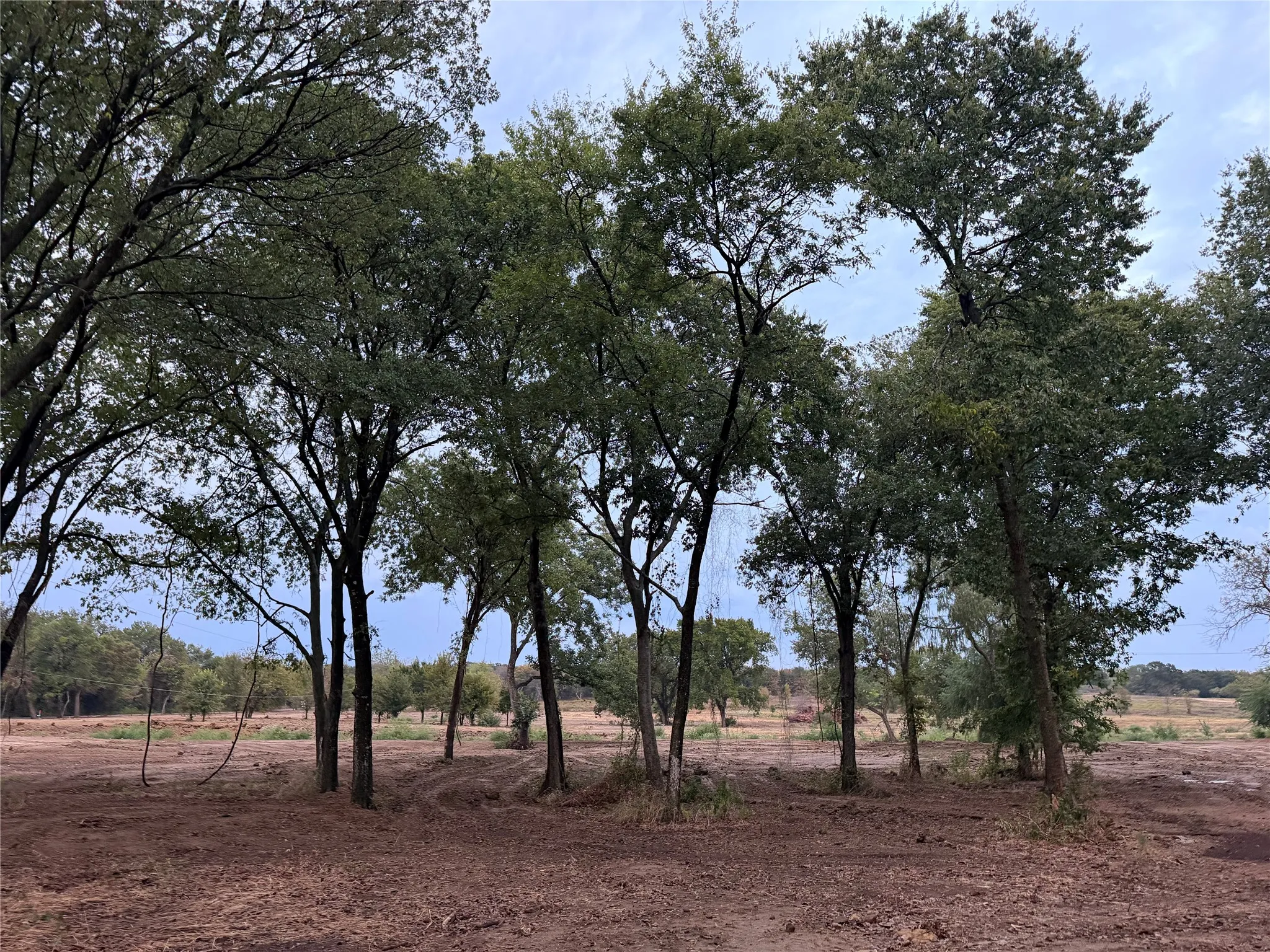 Unimproved Land For Sale in Johnson County , 4772 County Road 707, Alvarado, Texas 76009, 0, 0, Garage spaces, 0 Sqft, built in 2026, mls#21383270, Real Estate Agent in Alvarado, Homes For Sale in Johnson county, Homes For Sale in Alvarado, Realtor in Alvarado Texas, Real Estate Brokerage Independent Realty Texas, Luminita Cordes Realtor