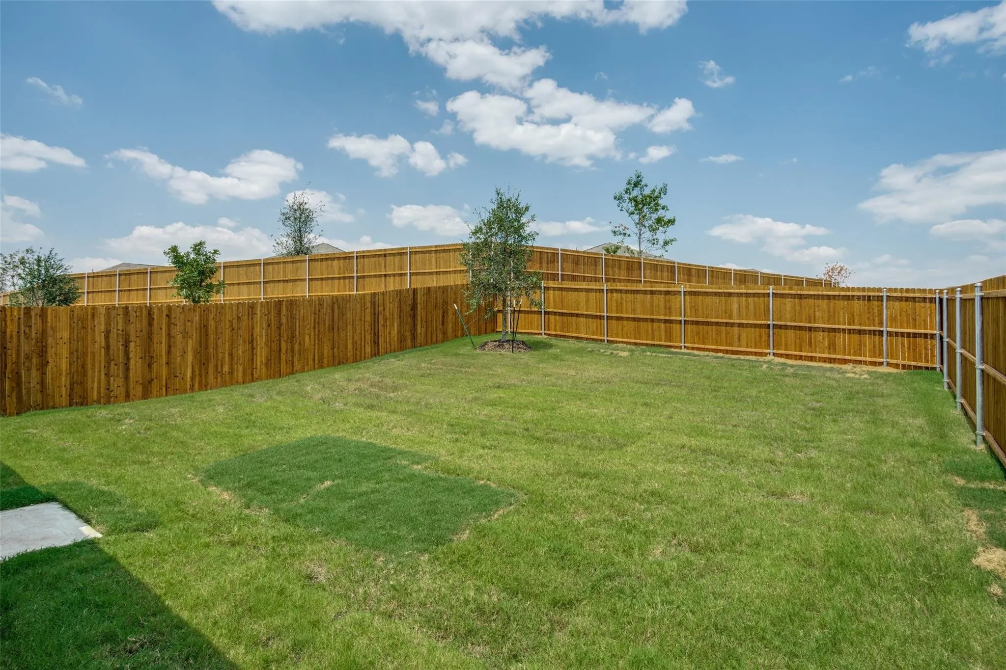Single Family Residence For Rent in Collin County , 3412 Flicker Lane, Mc Kinney, Texas 75071, 3 Bedroom, 2 Bathroom, 2 Garage spaces, 1,407 Sqft, built in 2024, mls#21395941, Real Estate Agent in Mc Kinney, Homes For Rent in Collin county, Homes For Rent in Mc Kinney, Realtor in Mc Kinney Texas, Real Estate Brokerage Independent Realty Texas, Luminita Cordes Realtor