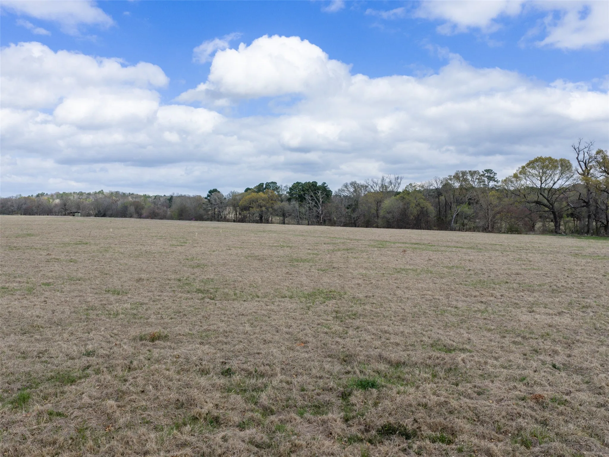 Expansive open field with natural tree line