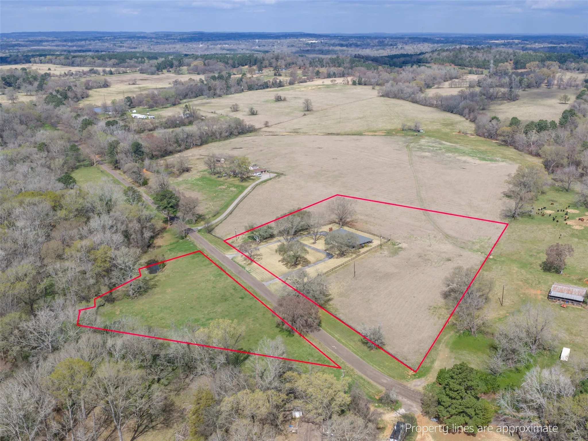 Expansive rural acreage with significant tree coverage and open fields